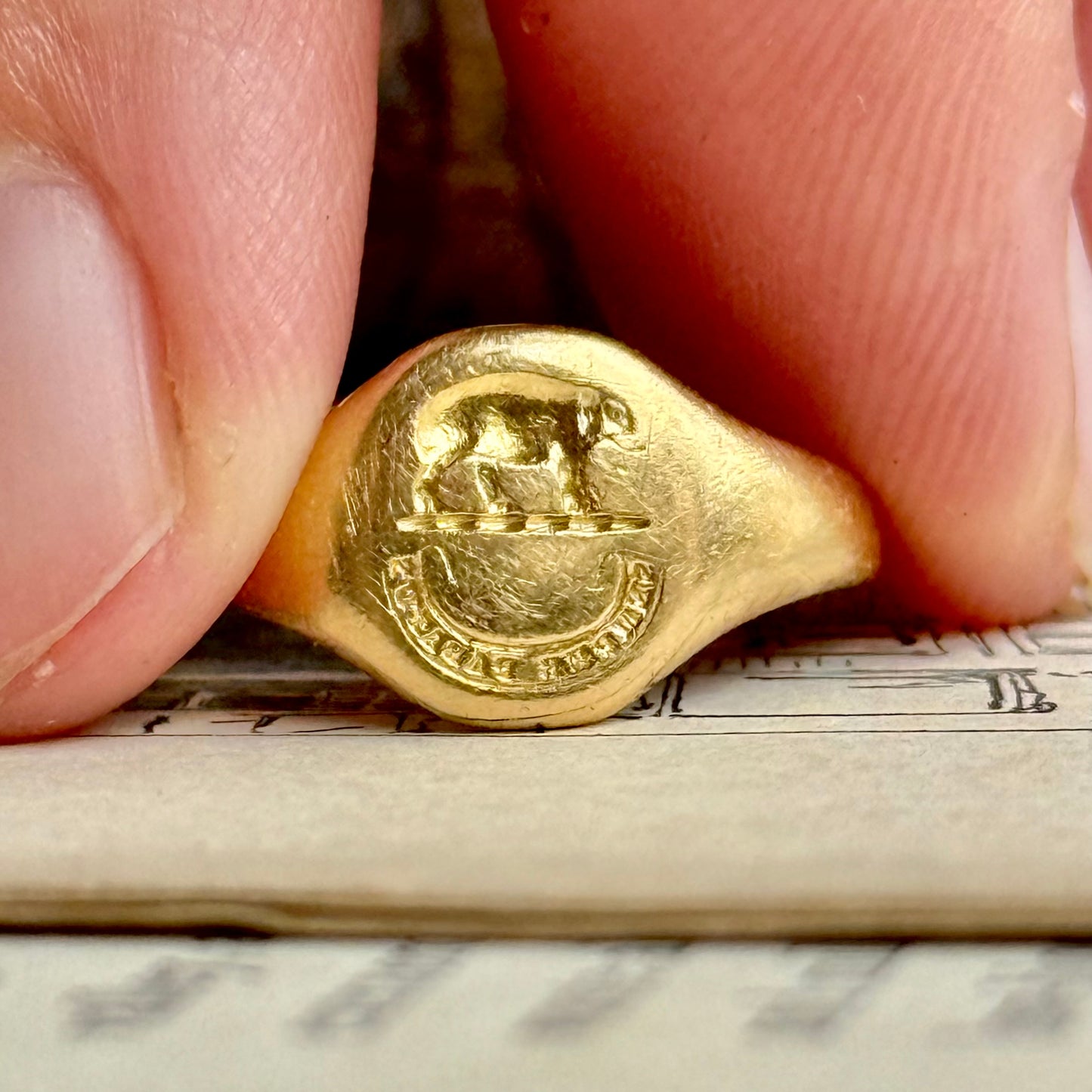 Victorian Elephant SEMPER PARITUS Signet ring in 18 Carat Gold