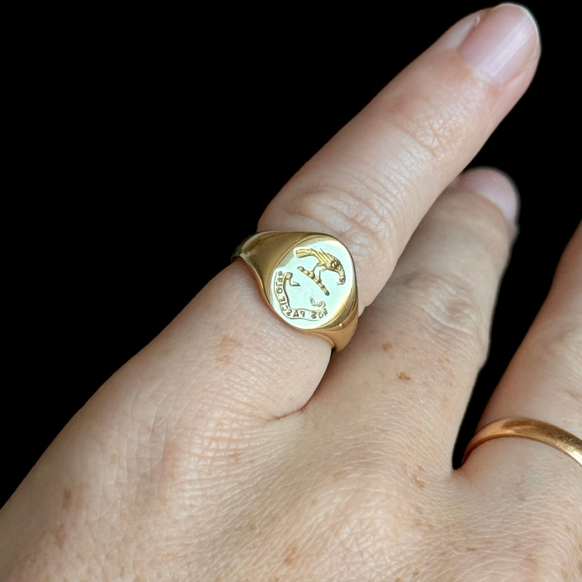 Vintage Raven Signet Ring in 18 Carat Gold; circa 1976