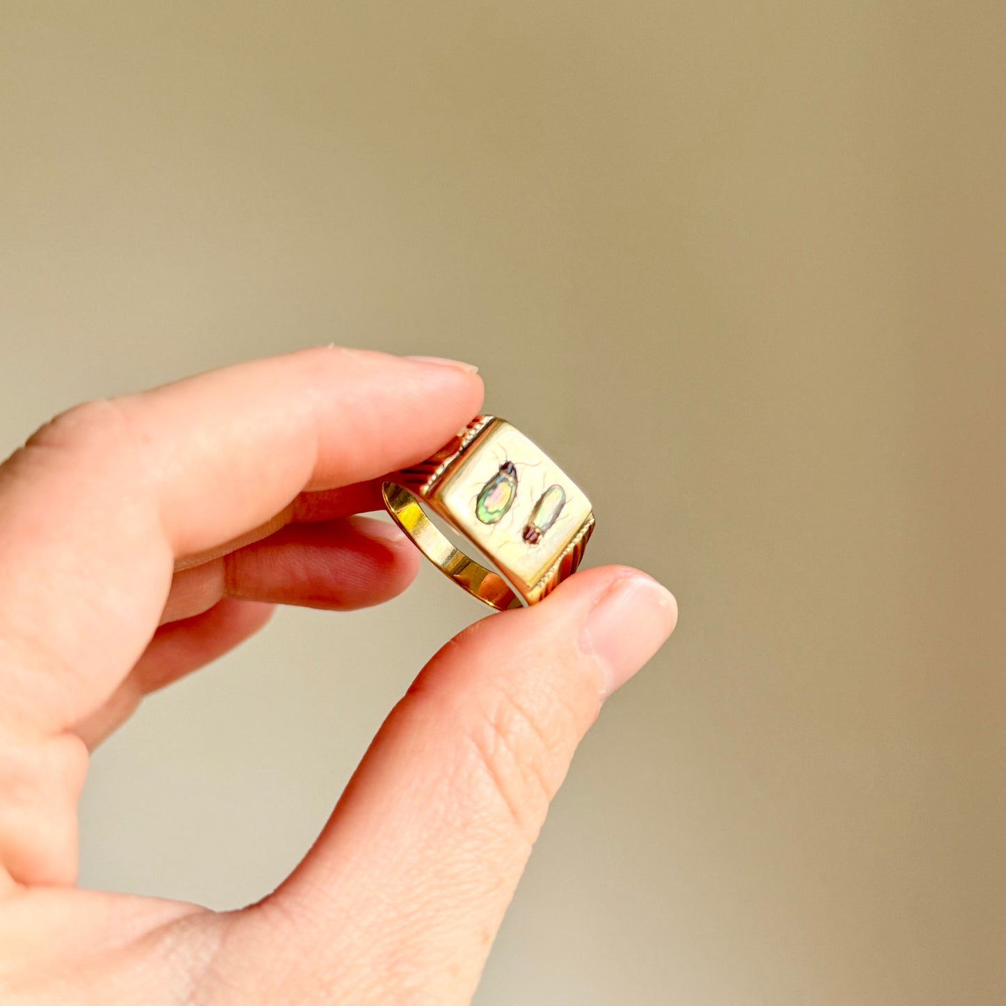 Shibayama Insect Inlay Ring