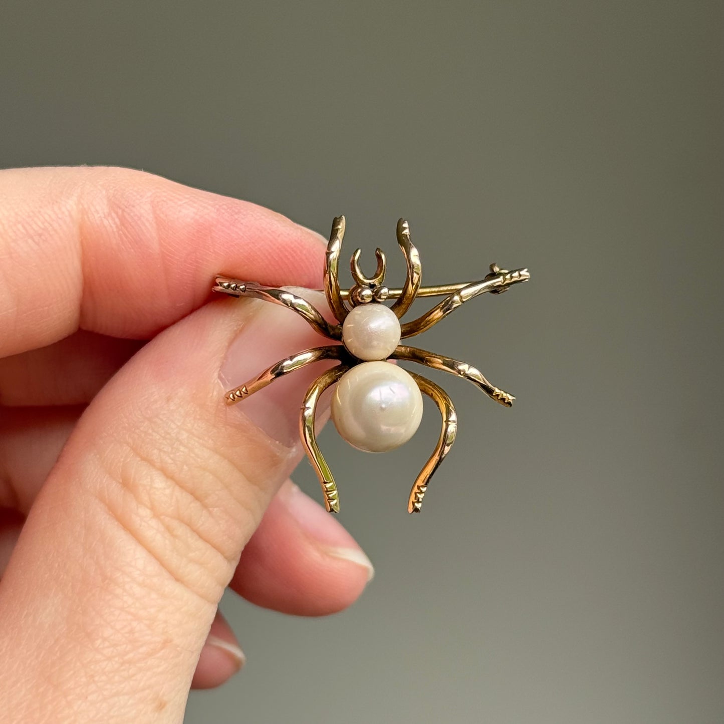 Victorian Pearl Spider Brooch in 9 Carat Gold; Circa 1890