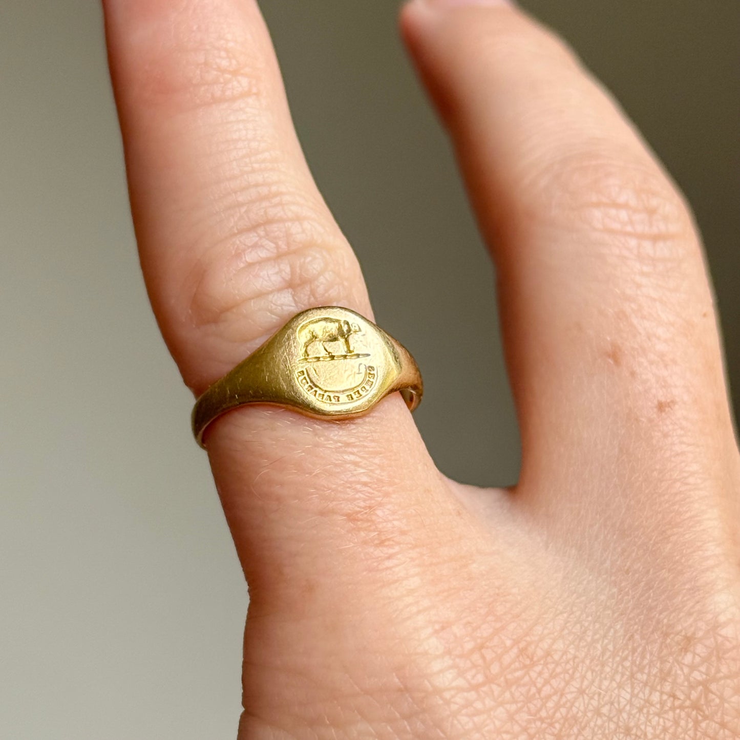 Victorian Elephant SEMPER PARITUS Signet ring in 18 Carat Gold