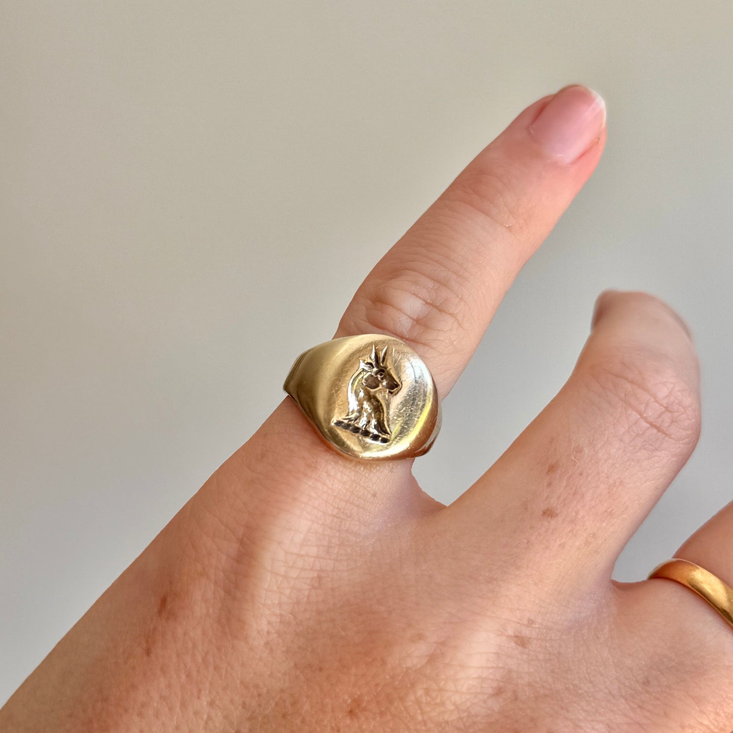 Antique Heraldic Signet Ring in 9 Carat Gold; Circa 1900