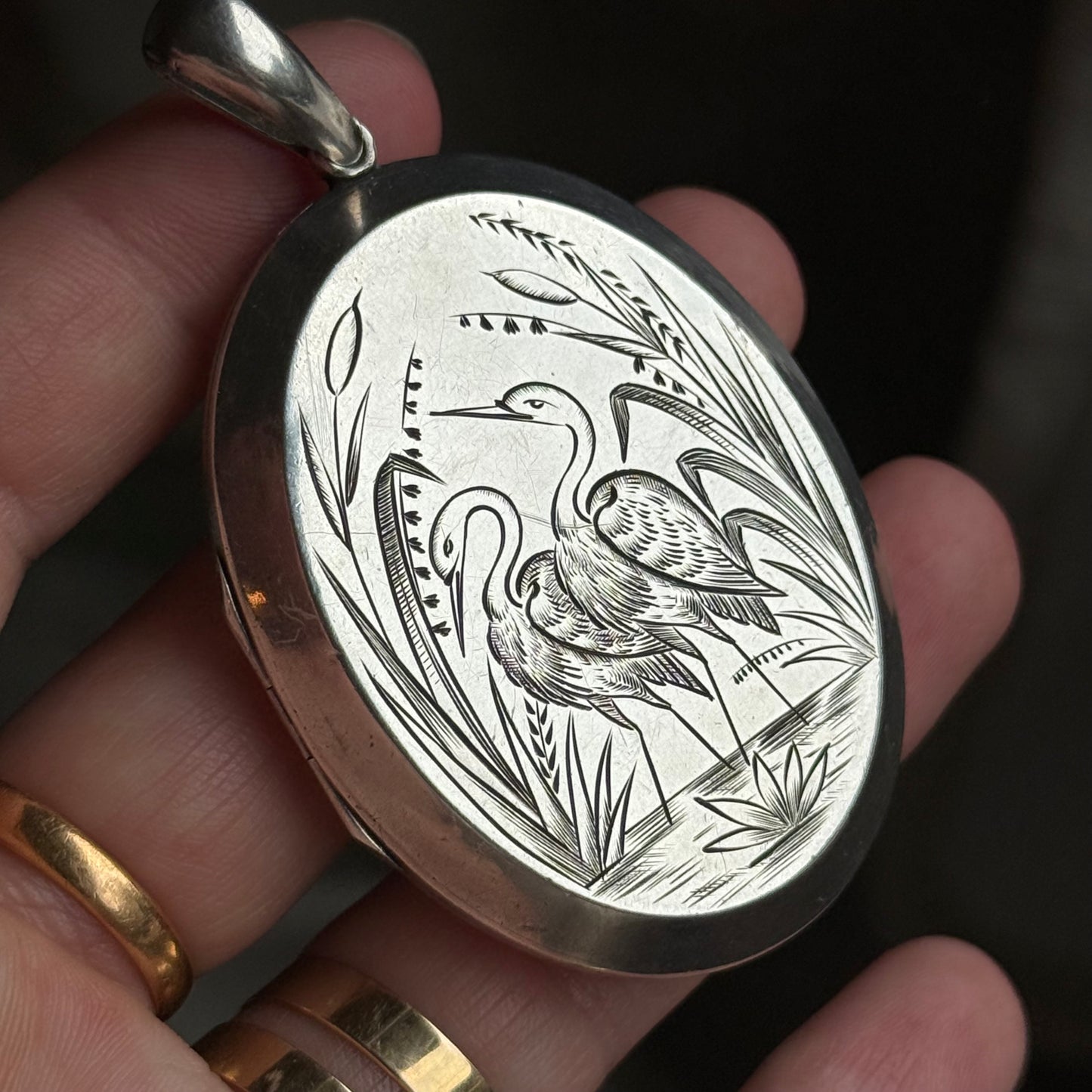 Victorian Heron Aesthetic Silver Locket Pendant