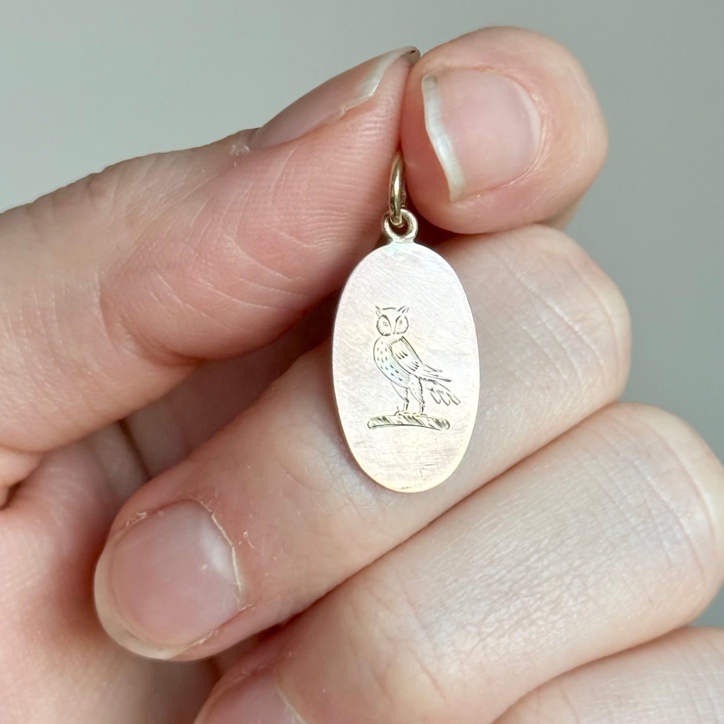 Antique 'Owl' Heraldic Pendant in 9 Carat gold (2)