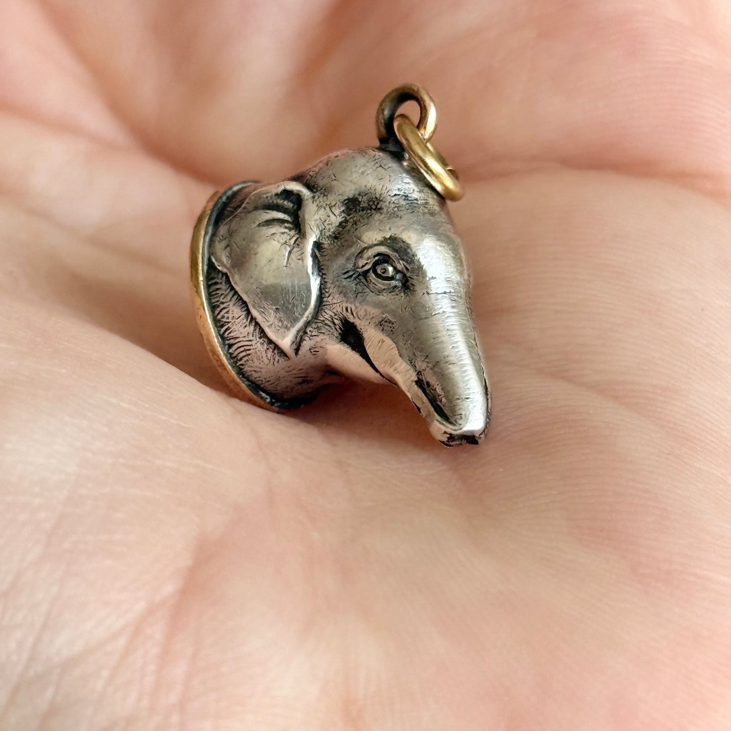 Rare Victorian Elephant Mourning Pendant with Hairwork; Circa 1870