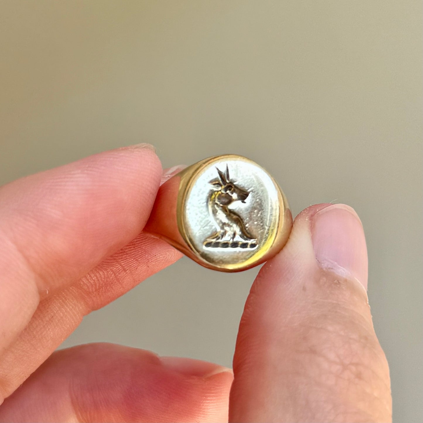 Antique Heraldic Signet Ring in 9 Carat Gold; Circa 1900