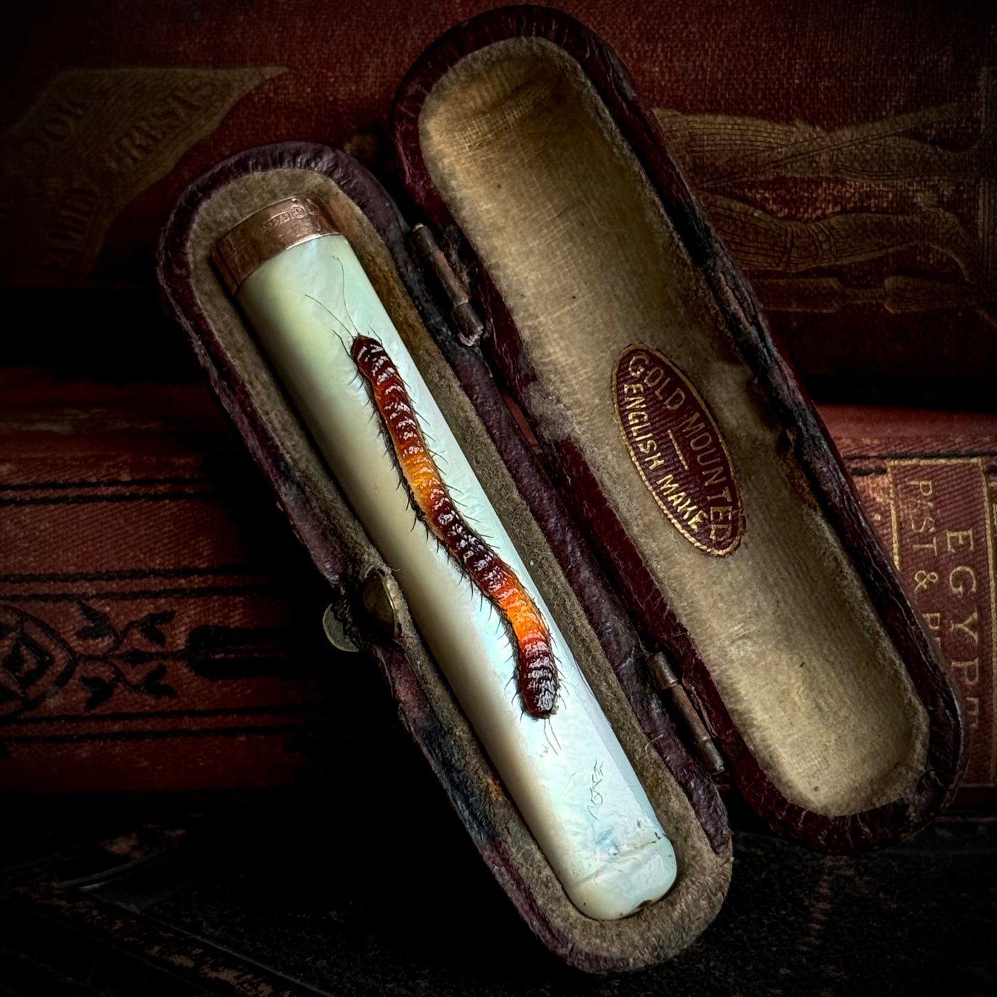 Antique Mother of Pearl Shibayama Cigarette Holder with Box