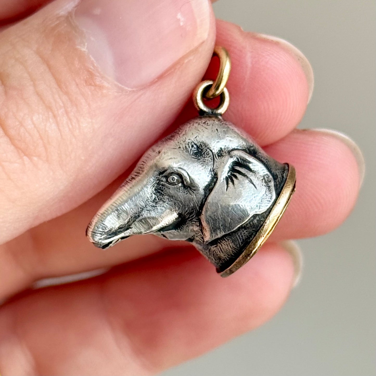 Rare Victorian Elephant Mourning Pendant with Hairwork; Circa 1870