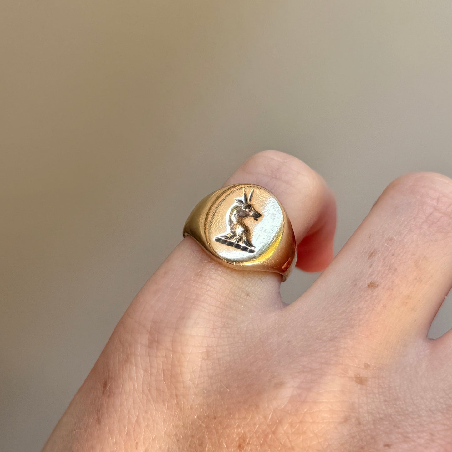 Antique Heraldic Signet Ring in 9 Carat Gold; Circa 1900