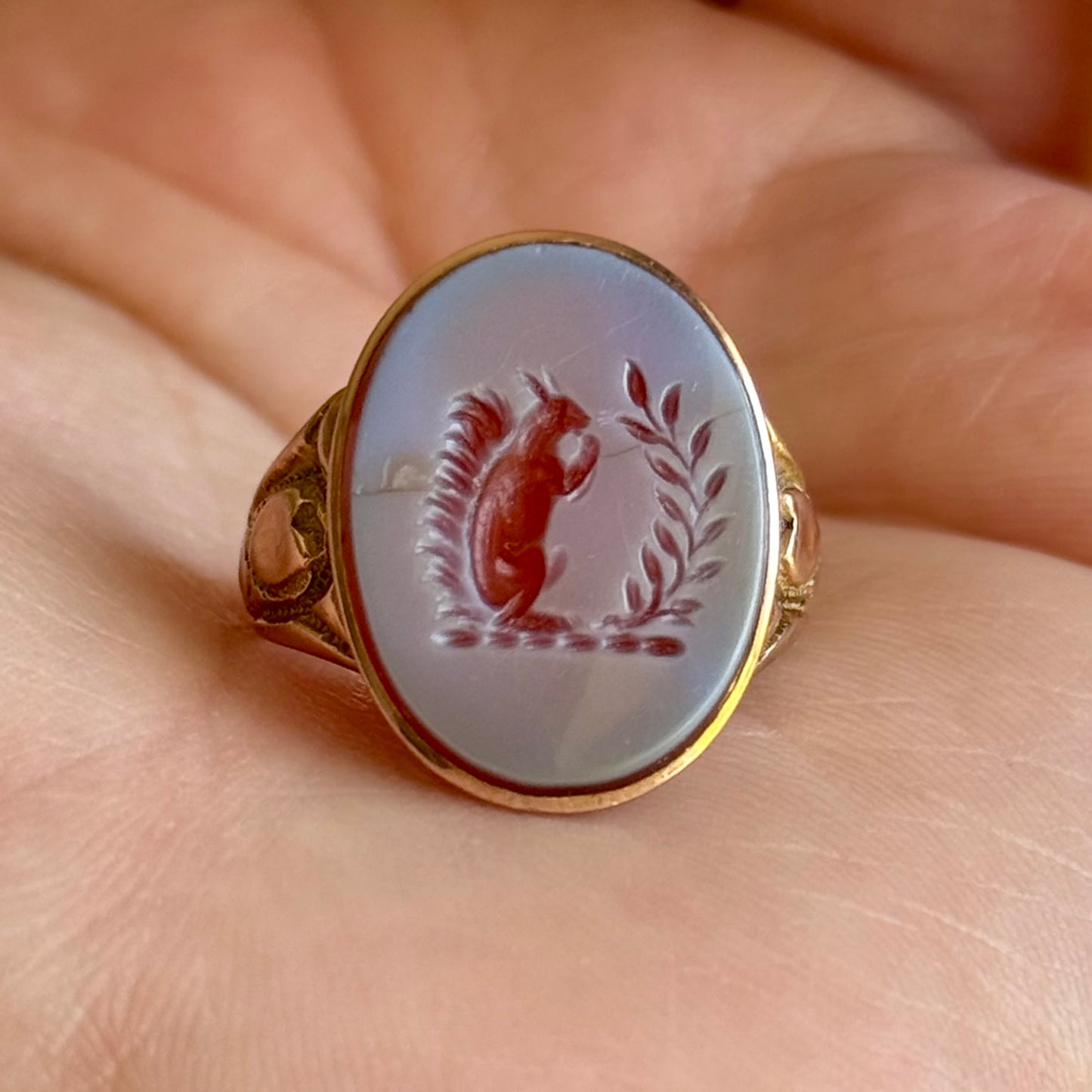 Antique Squirrel Intaglio Signet Ring in 9 Carat Gold