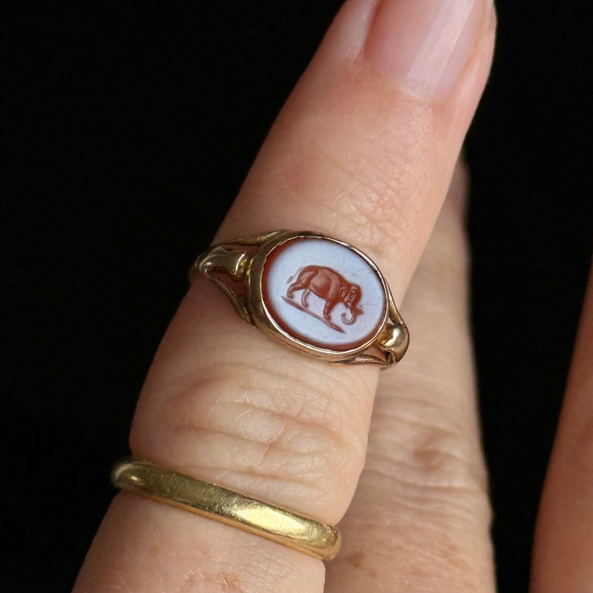 Antique Elephant Signet Ring in 9 Carat Gold; Circa 1880