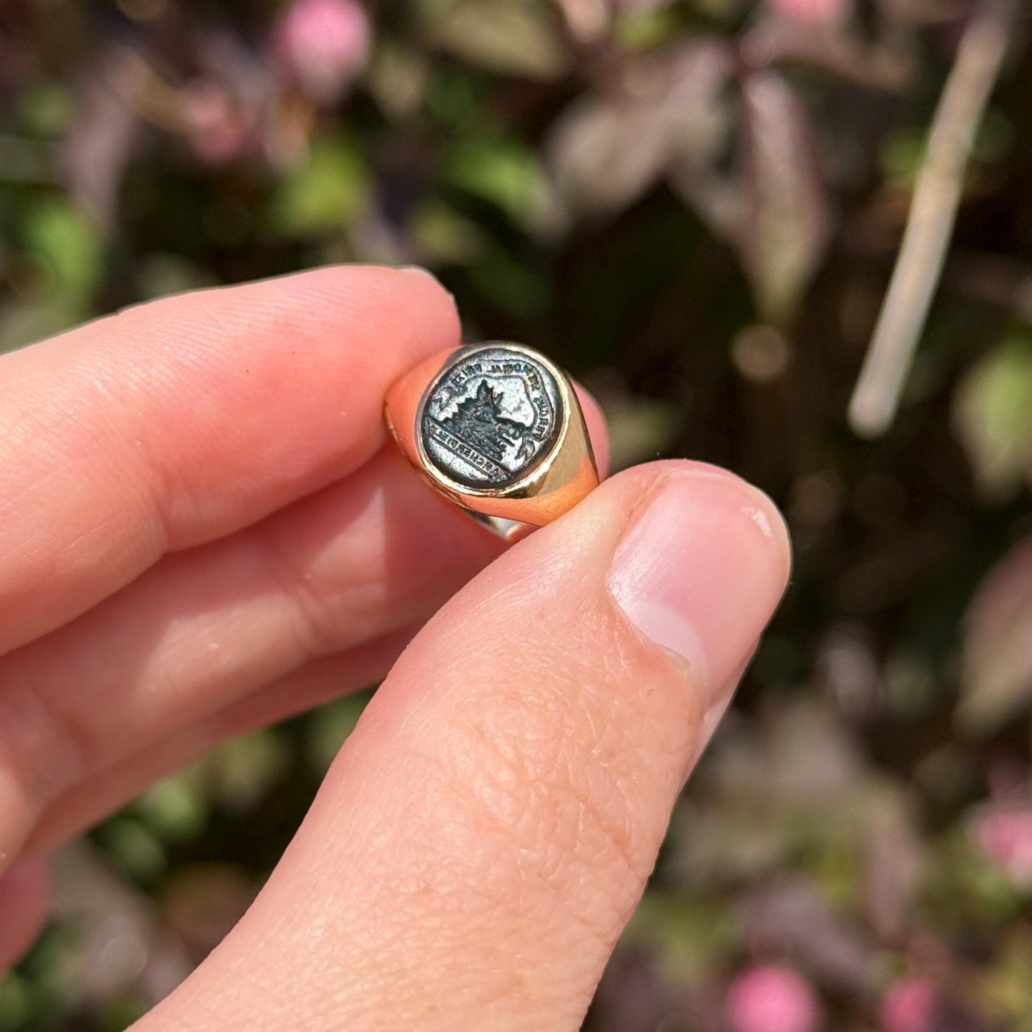 Victorian Bloodstone Intaglio Signet Ring in 18 Carat Gold; Circa 1870