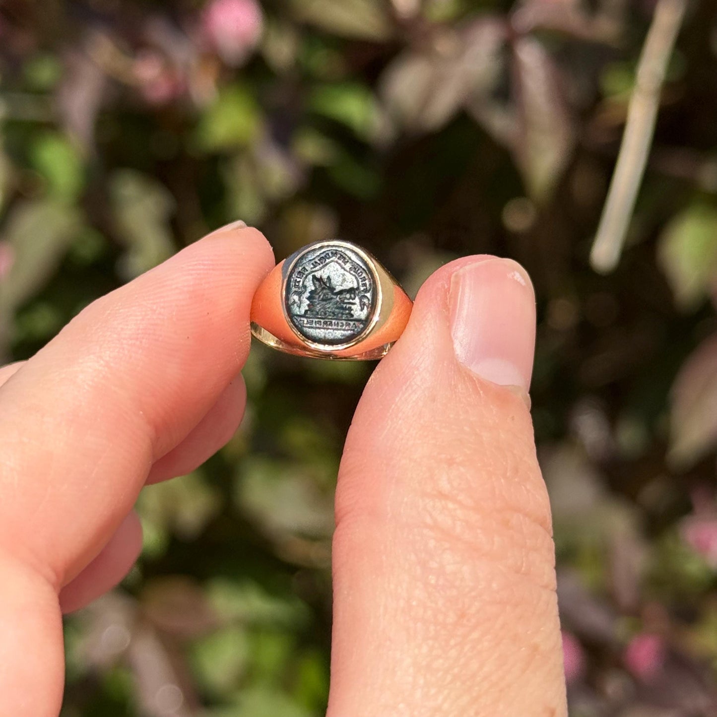 Victorian Bloodstone Intaglio Signet Ring in 18 Carat Gold; Circa 1870