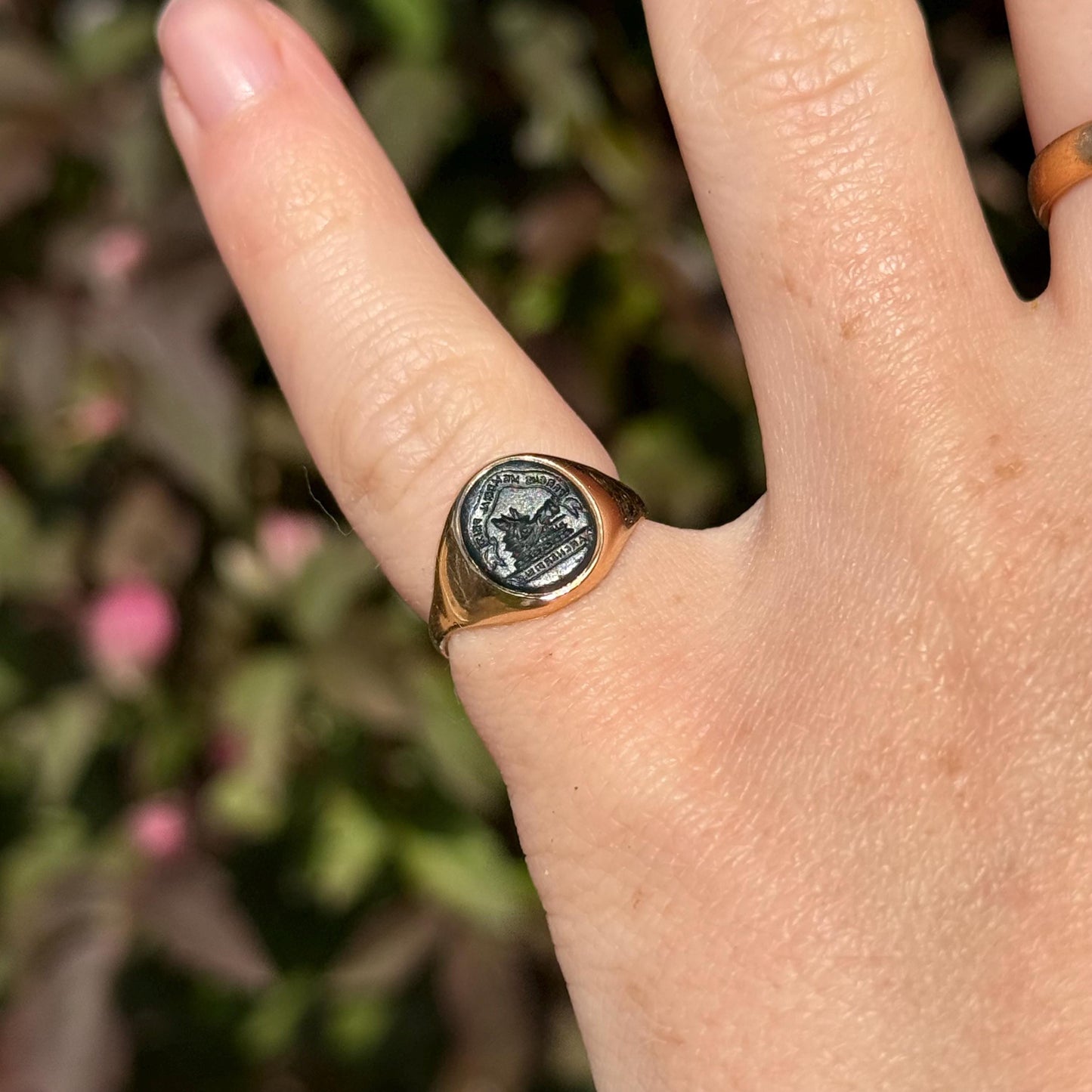 Victorian Bloodstone Intaglio Signet Ring in 18 Carat Gold; Circa 1870