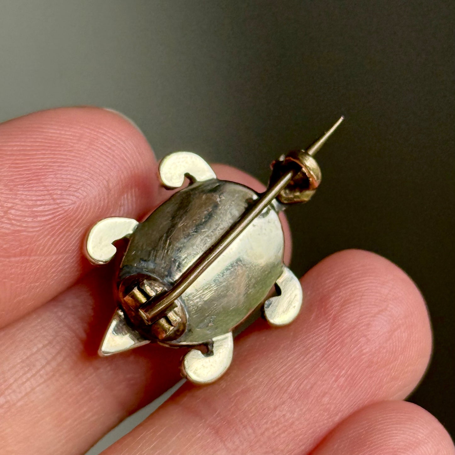 Early Victorian Garnet & Diamond Turtle Brooch