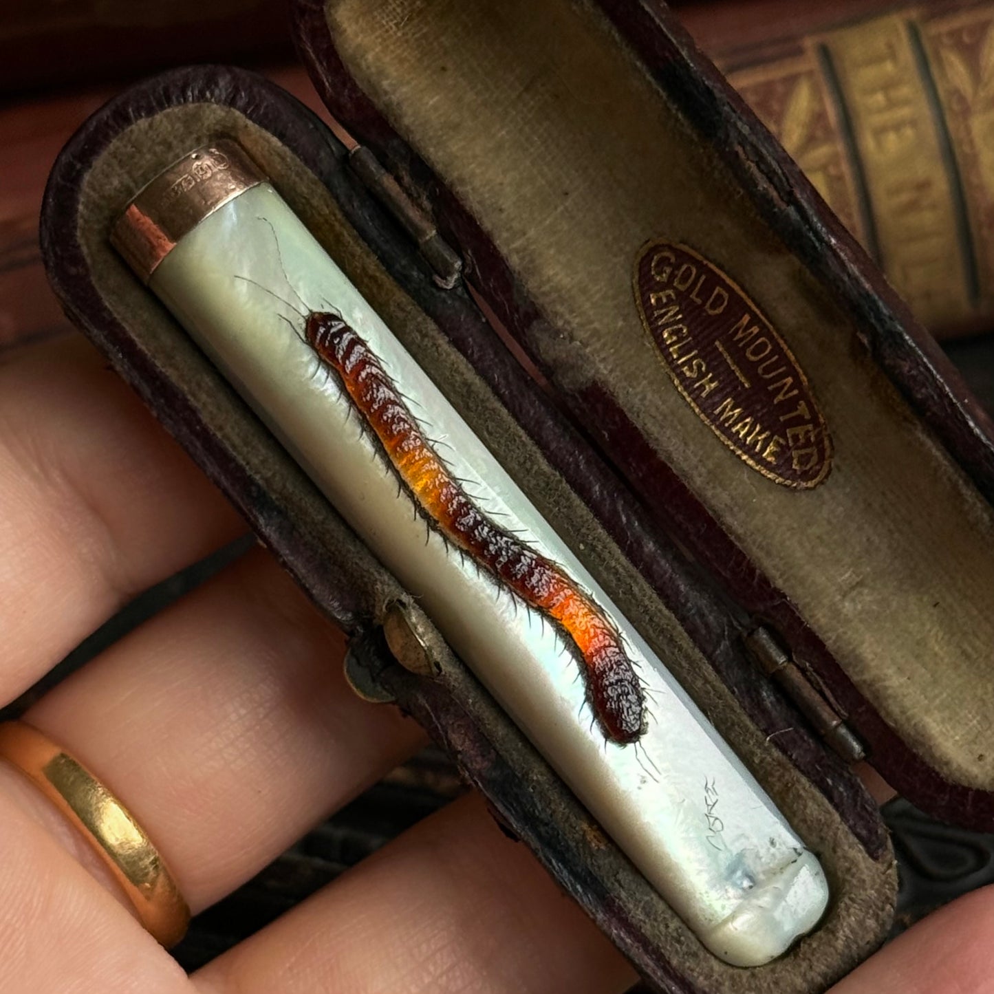 Antique Mother of Pearl Shibayama Cigarette Holder with Box
