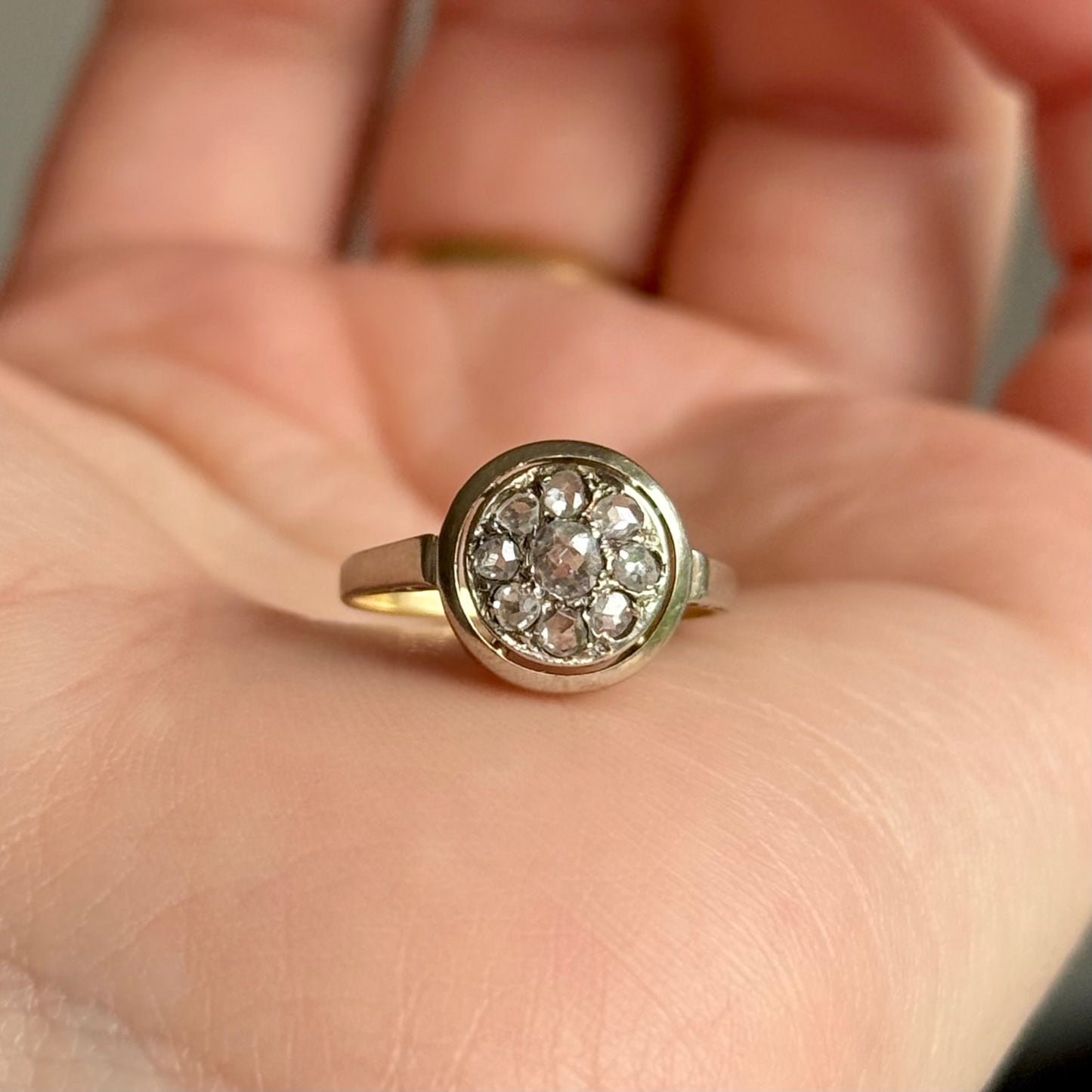 Antique Rose Cut Cluster Ring in 9 Carat Gold; Circa 1895