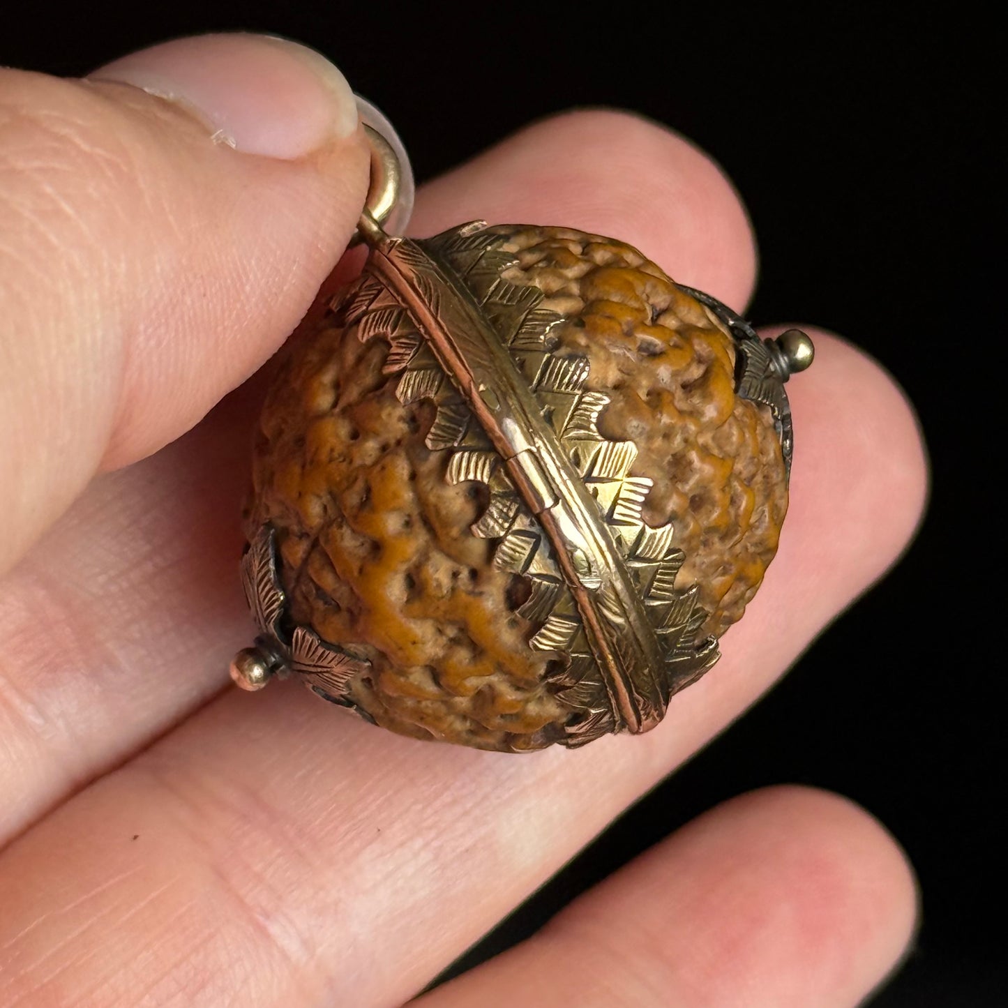 Antique Georgian Quandong Seed Locket; Circa 1800
