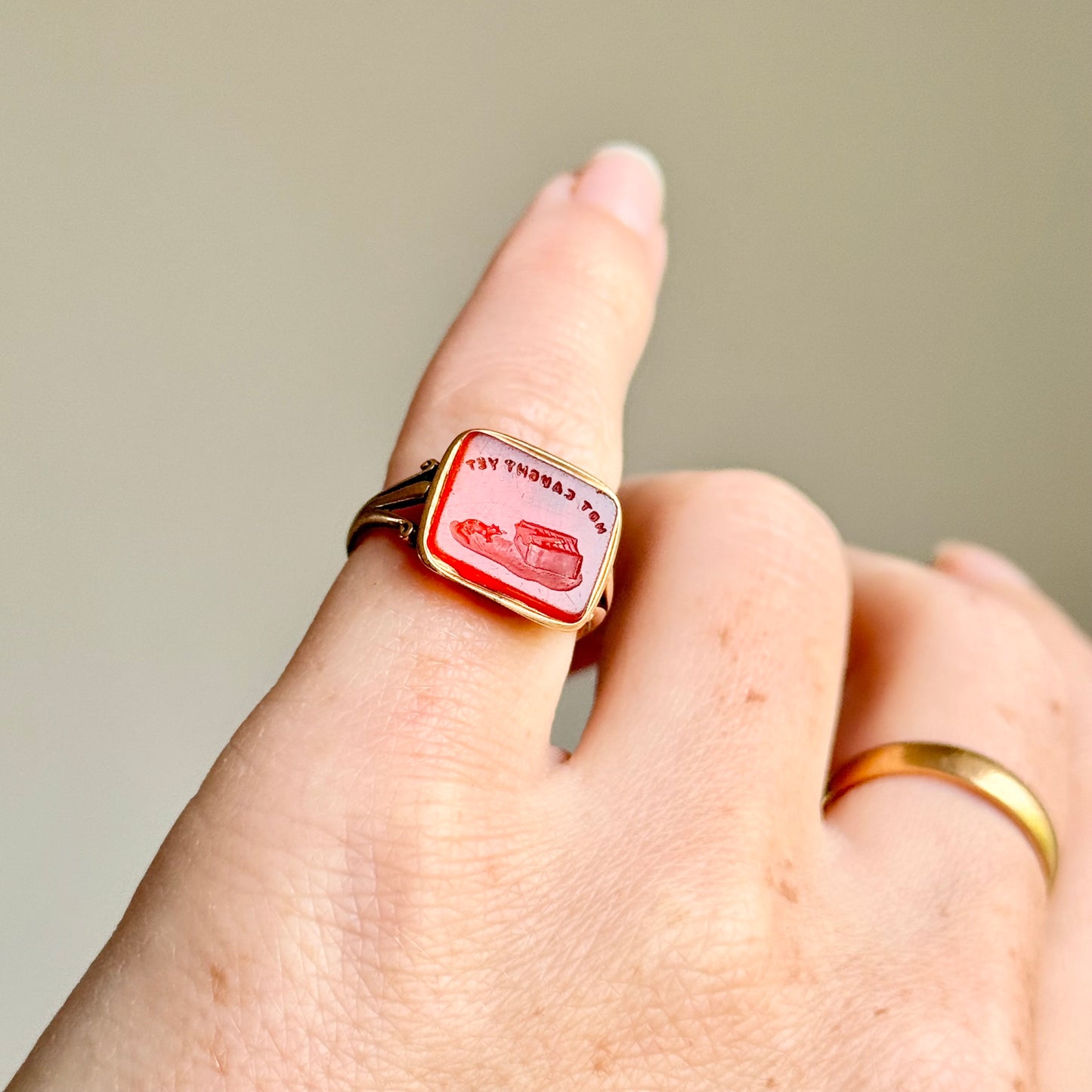 Georgian Carnelian Intaglio Seal Ring  “Not Caught Yet” Mousetrap; Circa 1830