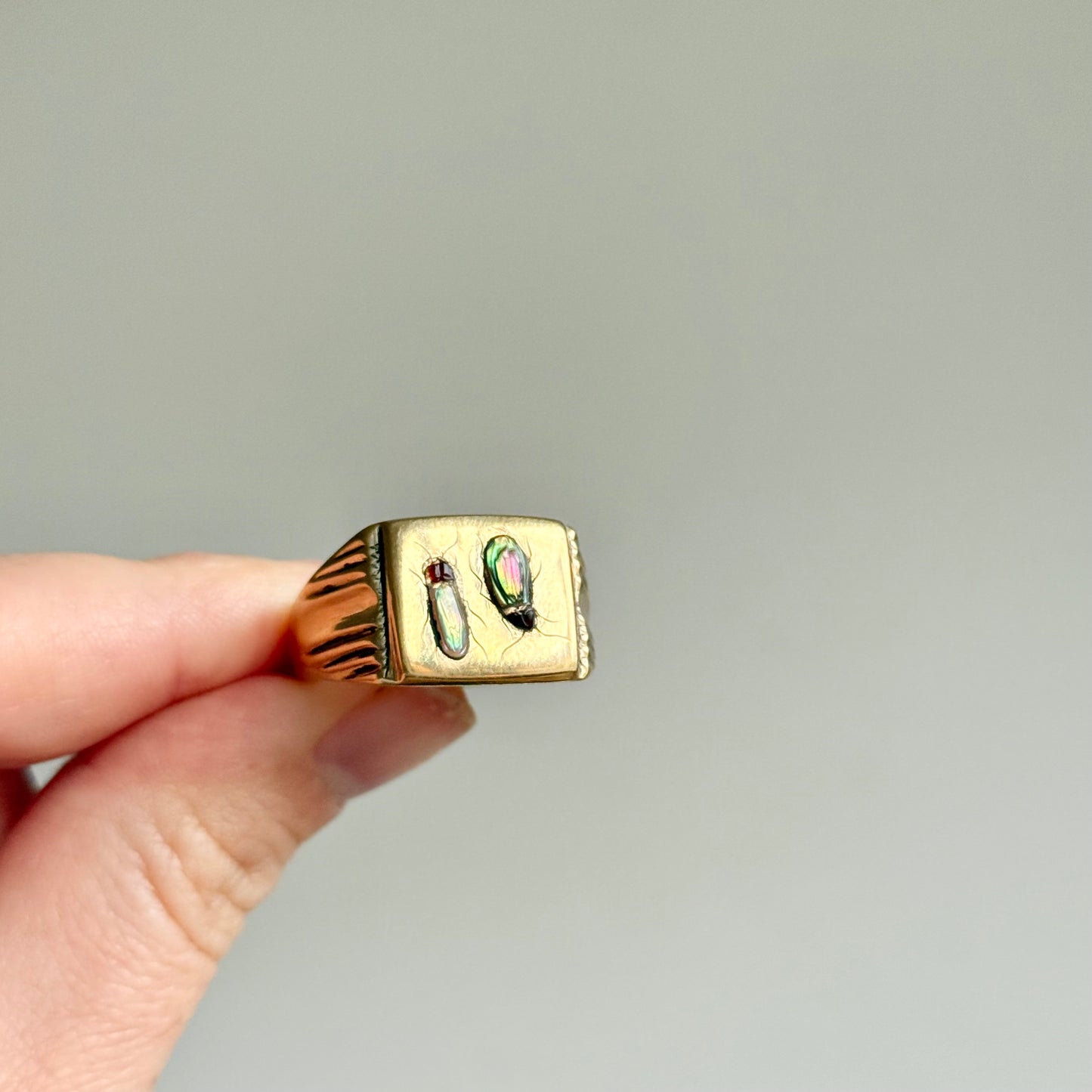 Shibayama Insect Inlay Ring
