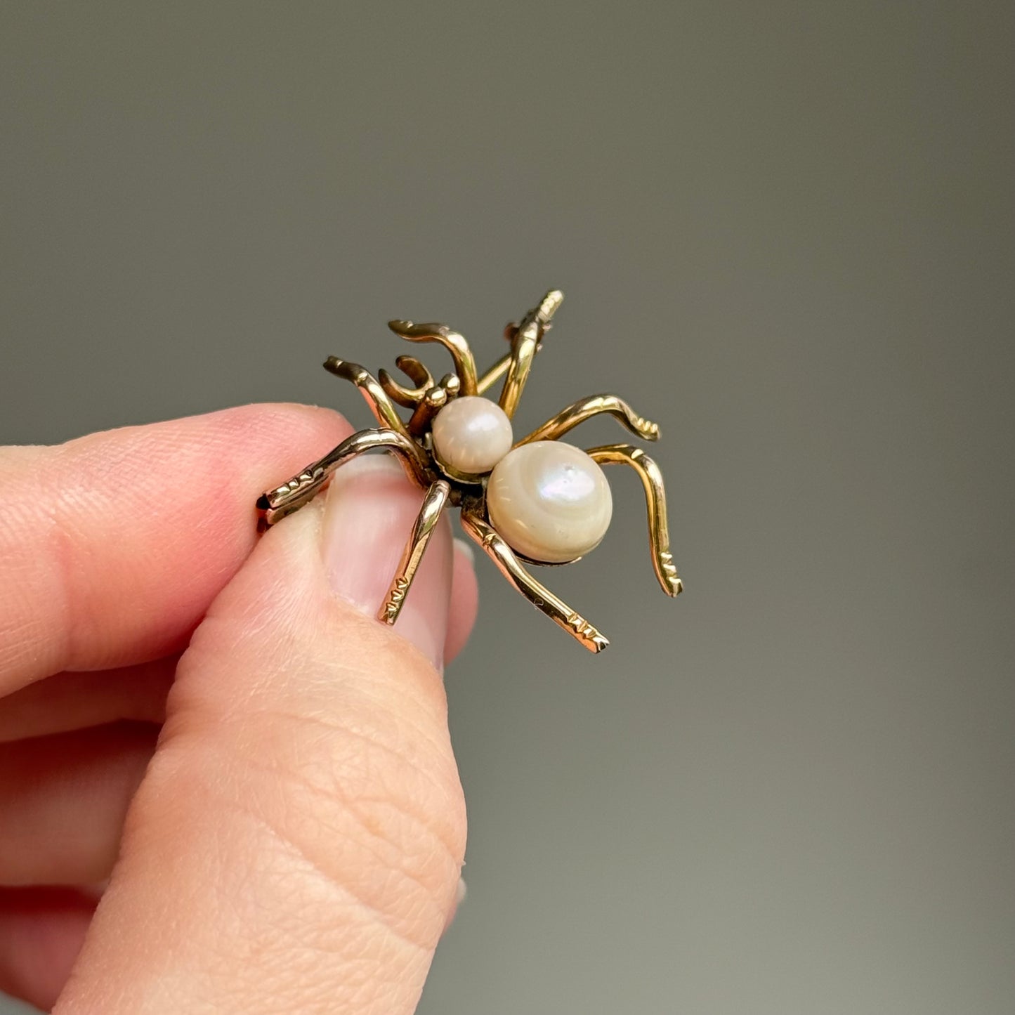 Victorian Pearl Spider Brooch in 9 Carat Gold; Circa 1890