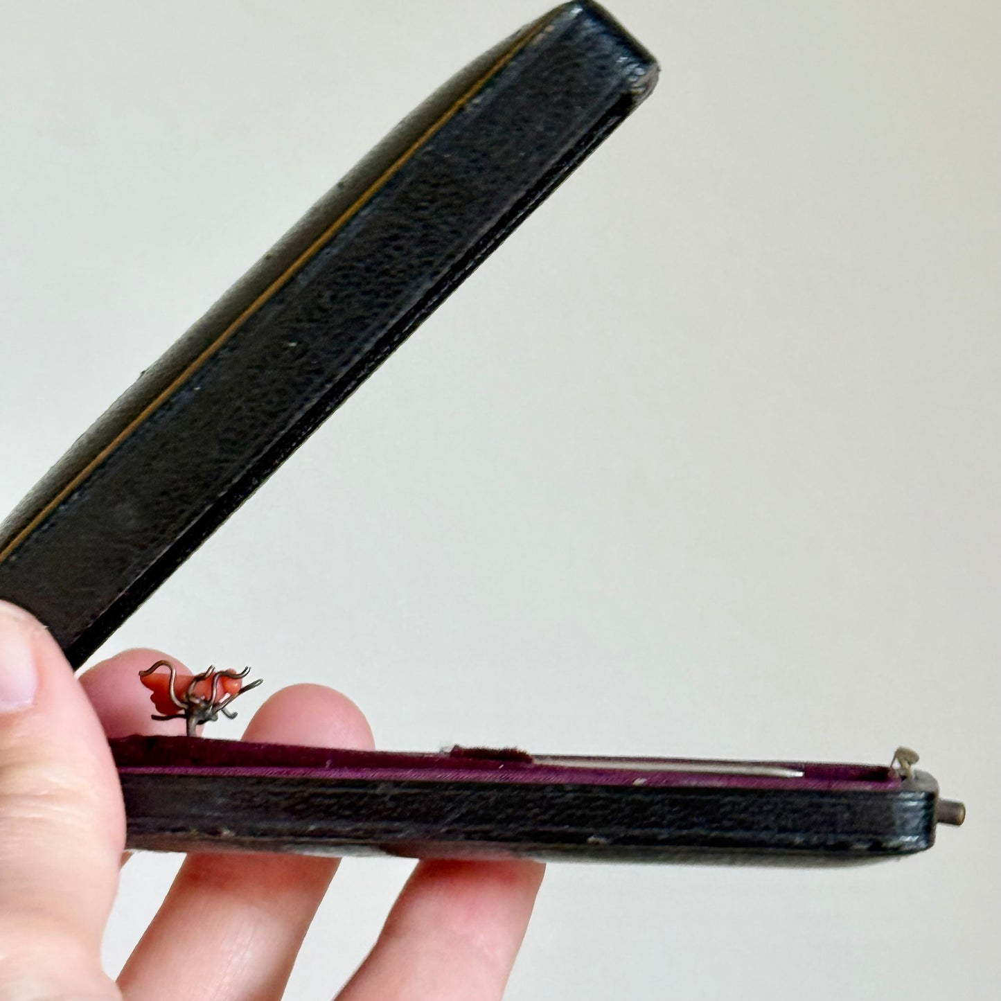 Antique Coral Boxed House Fly Stick Pin; Circa 1895