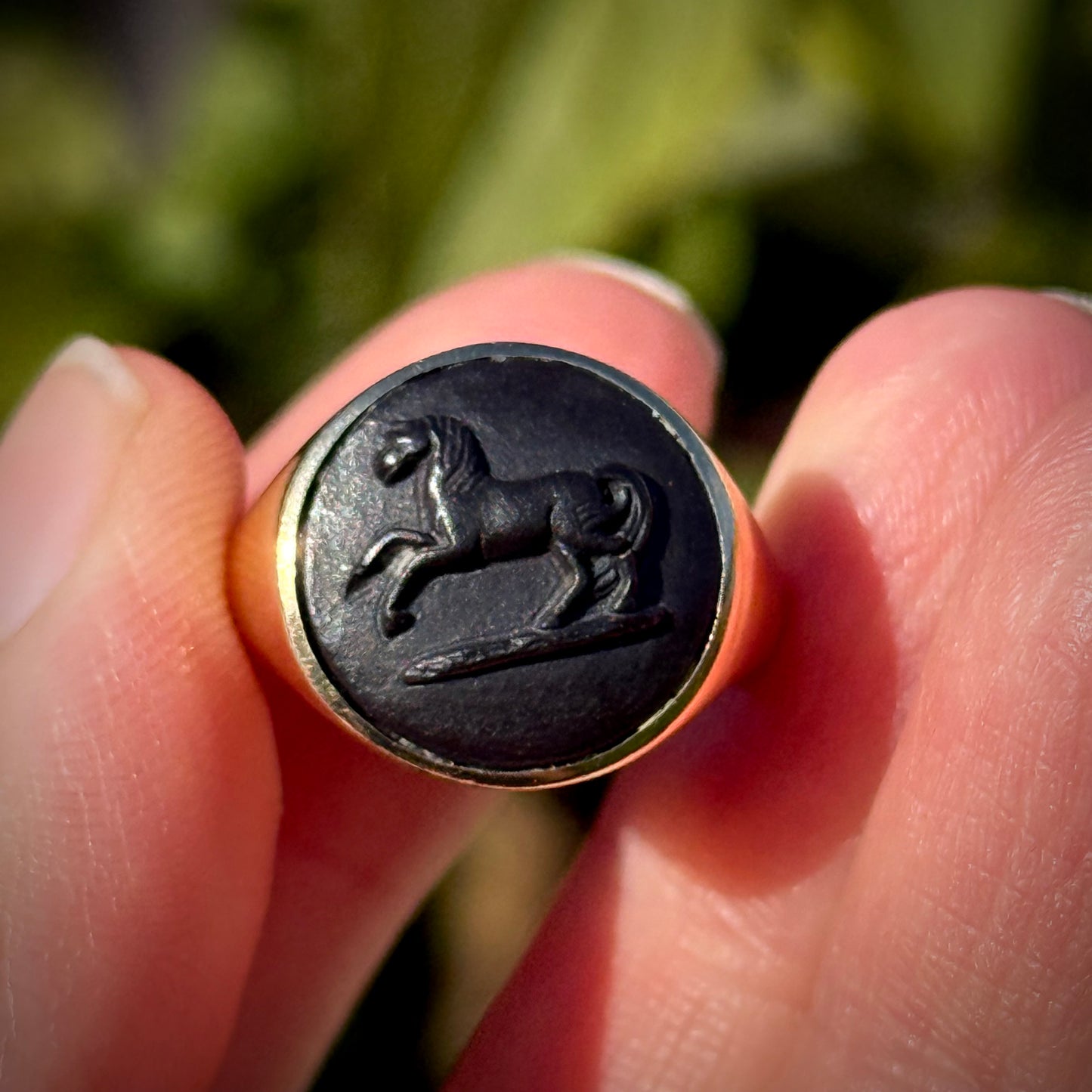 Preloved Wedgwood & 9 Carat Gold Ferian Horse Cameo Ring