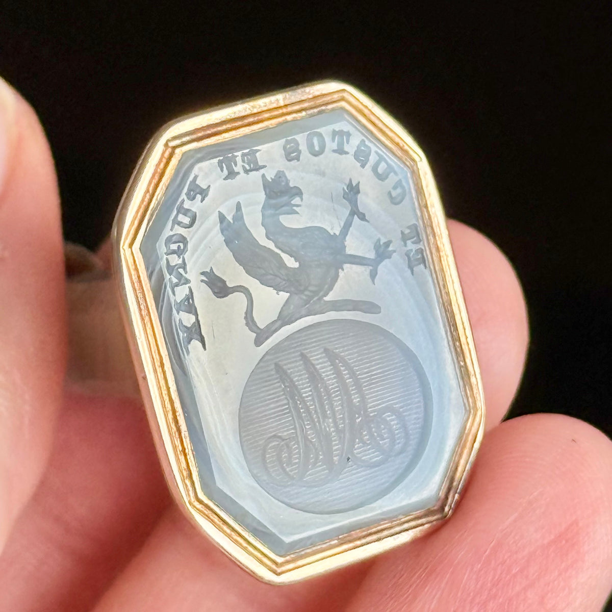 Georgian Scottish Clan Griffin Intaglio Fob Pendant; Circa 1830