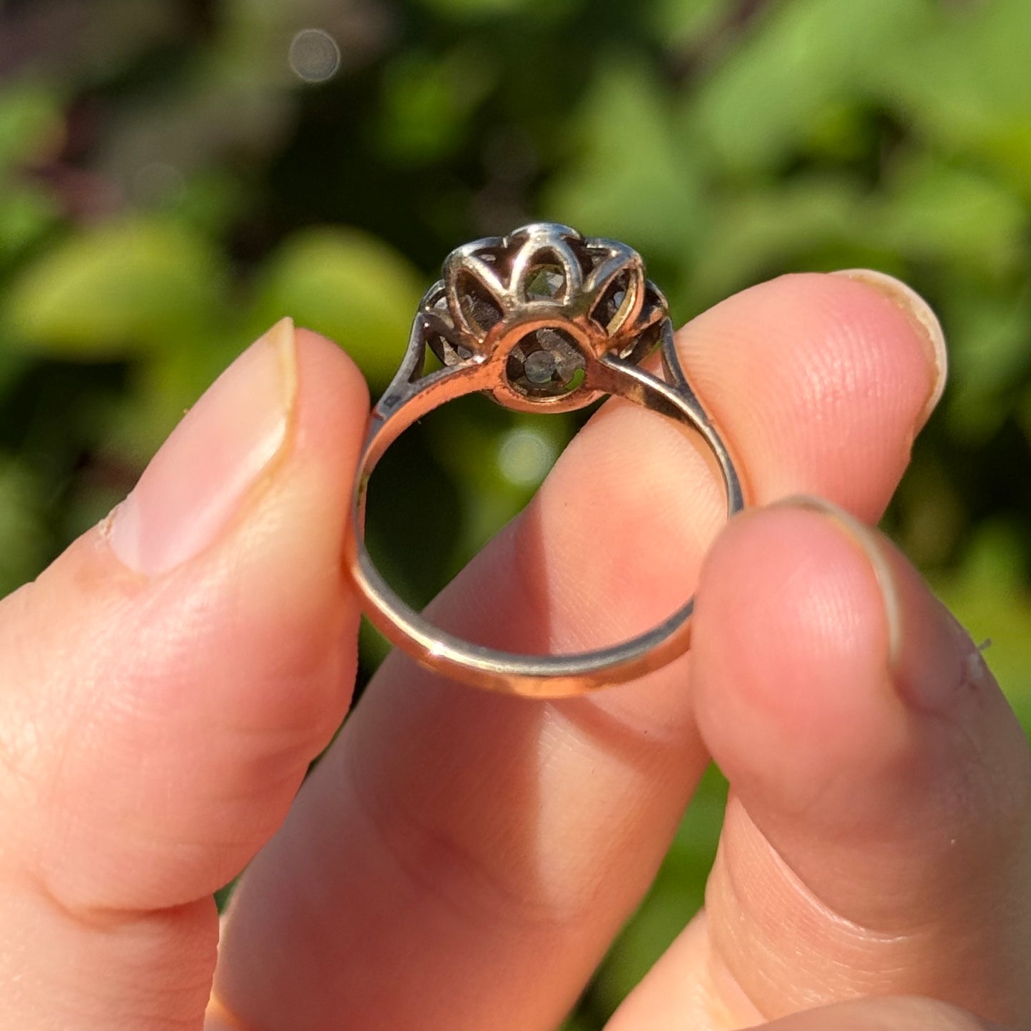 Antique Rose Cut Cluster Ring in 14 Carat Gold; Circa 1880