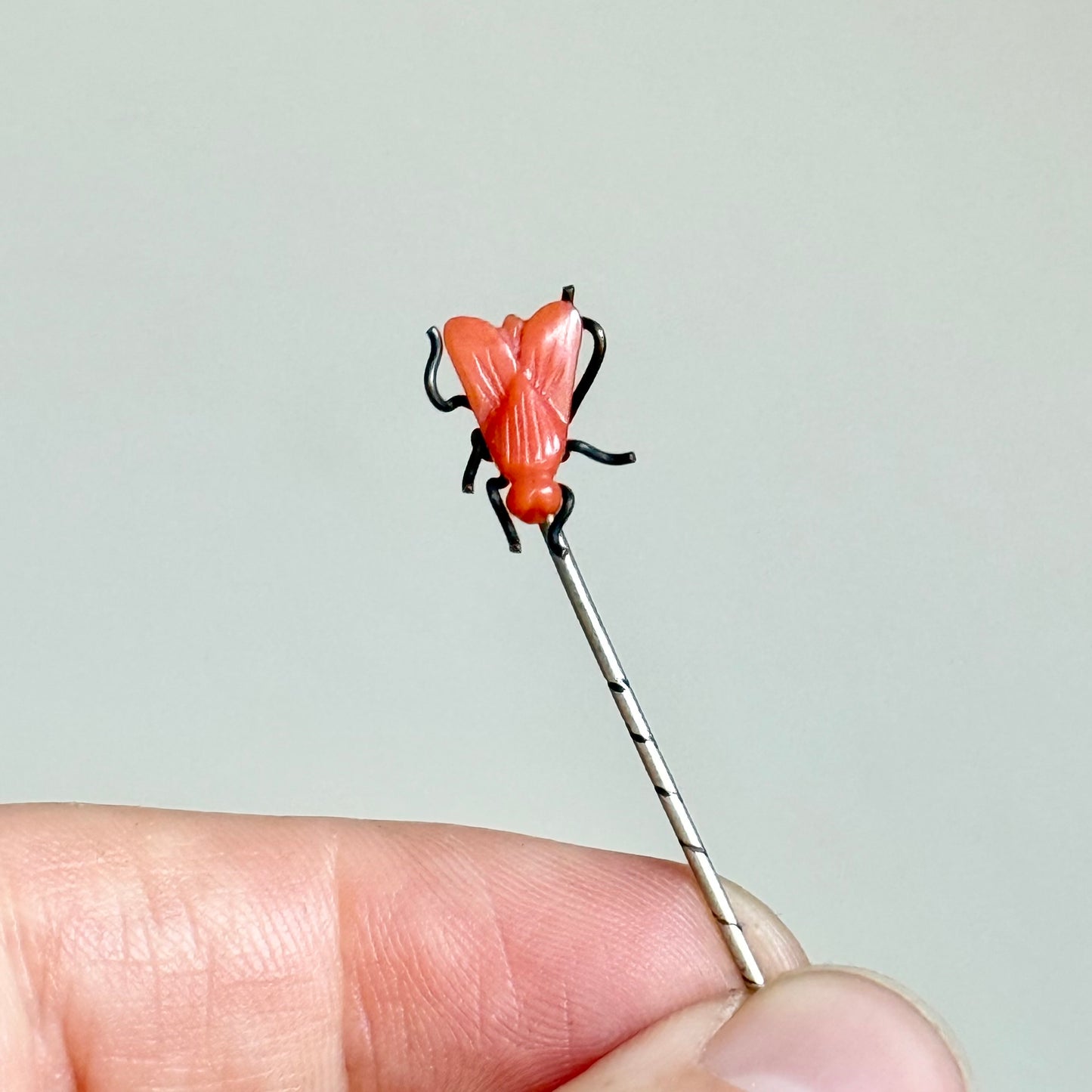 Antique Coral Boxed House Fly Stick Pin; Circa 1895