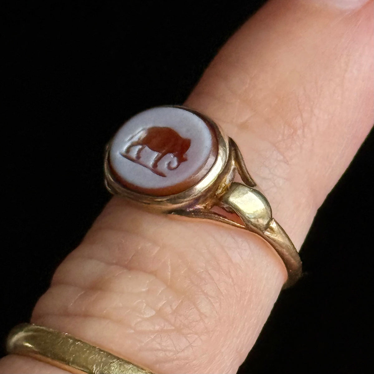 Antique Elephant Signet Ring in 9 Carat Gold; Circa 1880