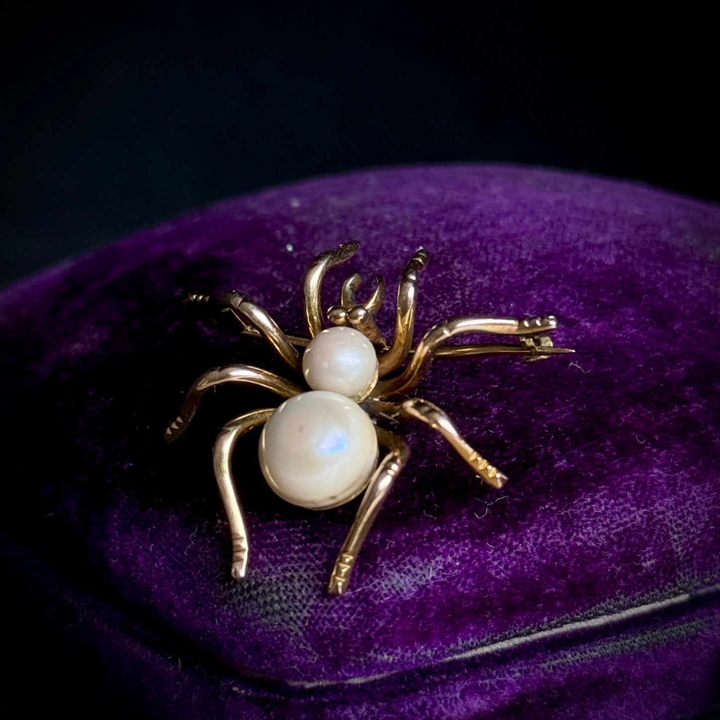 Victorian Pearl Spider Brooch in 9 Carat Gold; Circa 1890