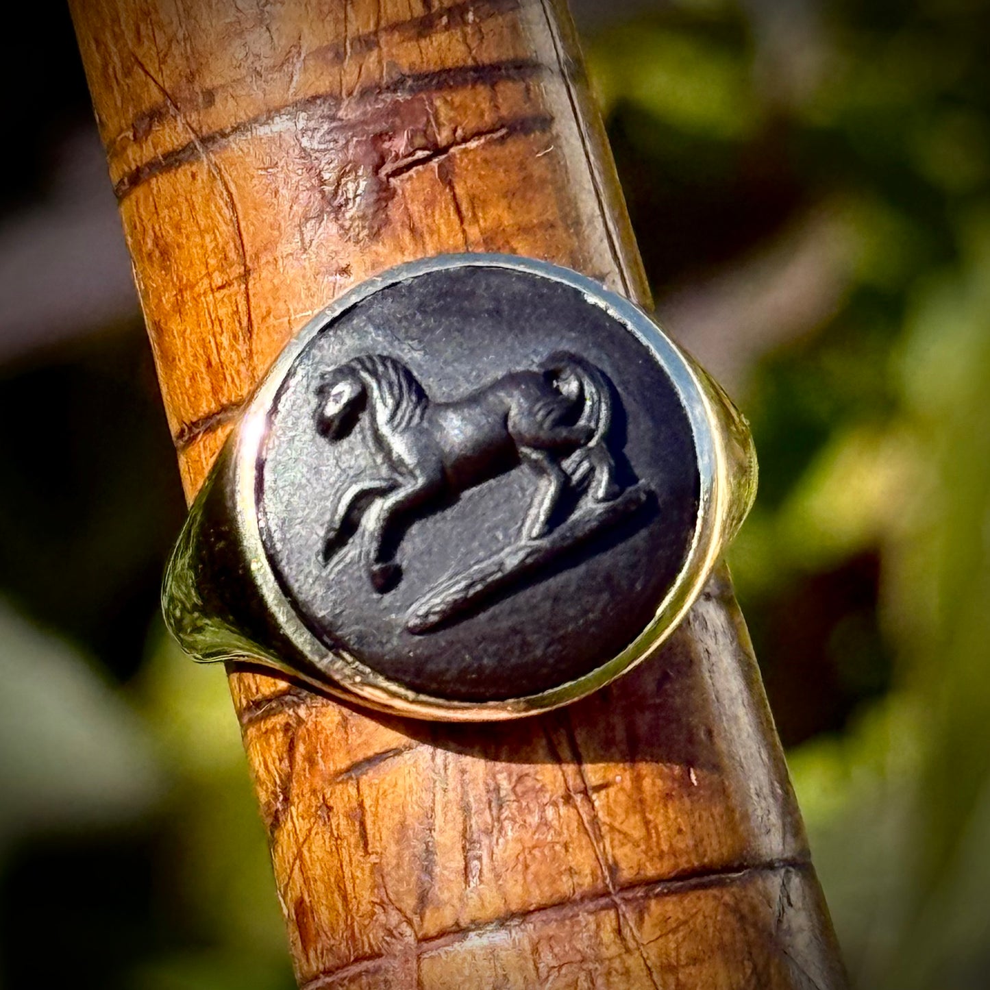 Preloved Wedgwood & 9 Carat Gold Ferian Horse Cameo Ring