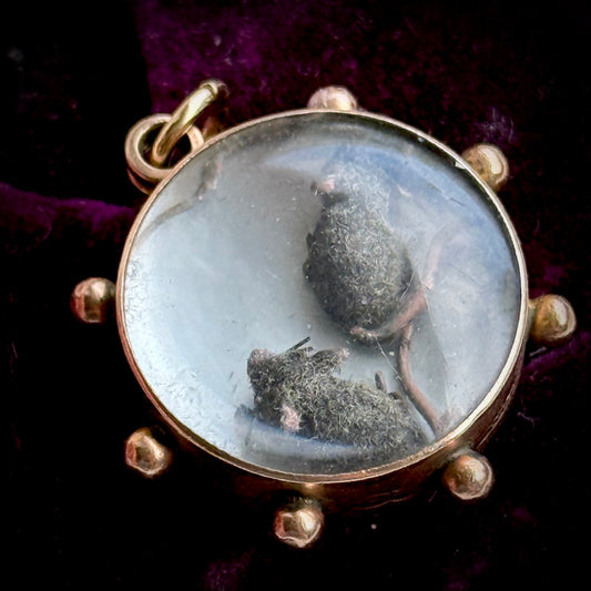 Antique Victorian Miniature Rat Locket; Circa 1880