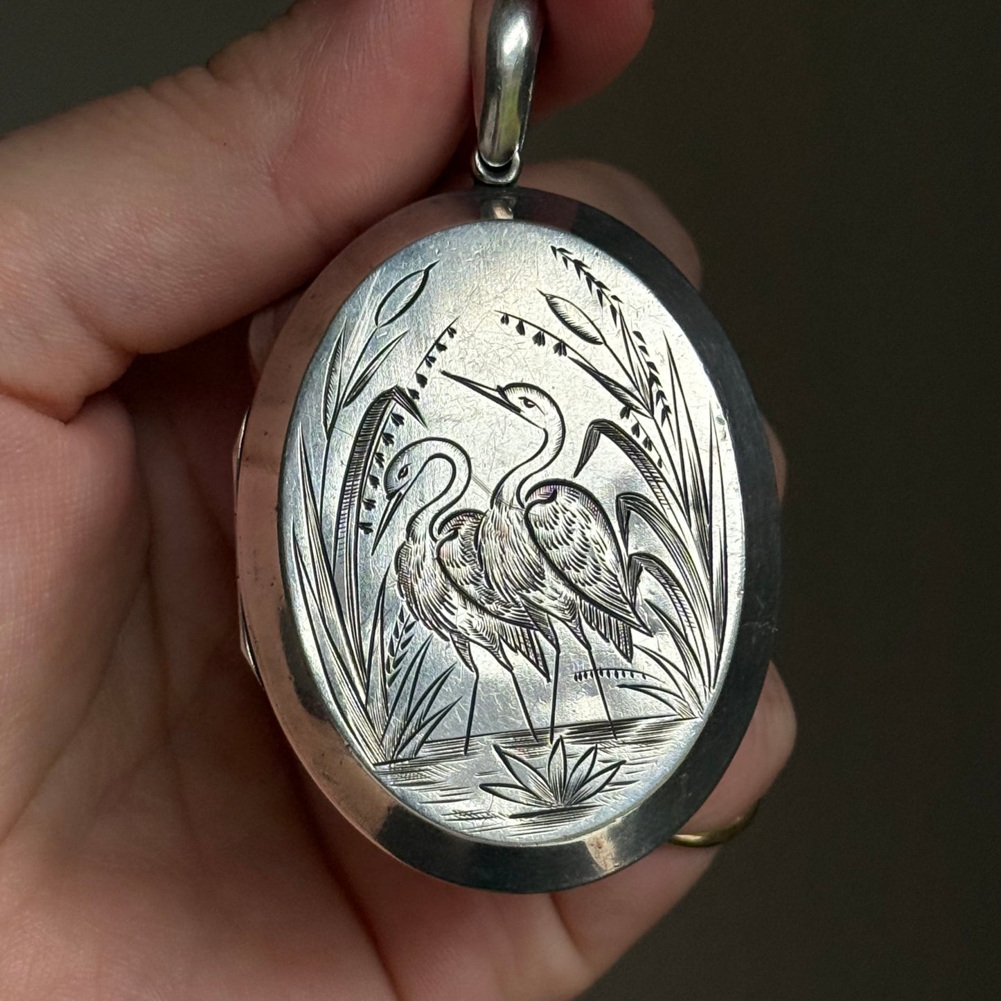 Victorian Heron Aesthetic Silver Locket Pendant
