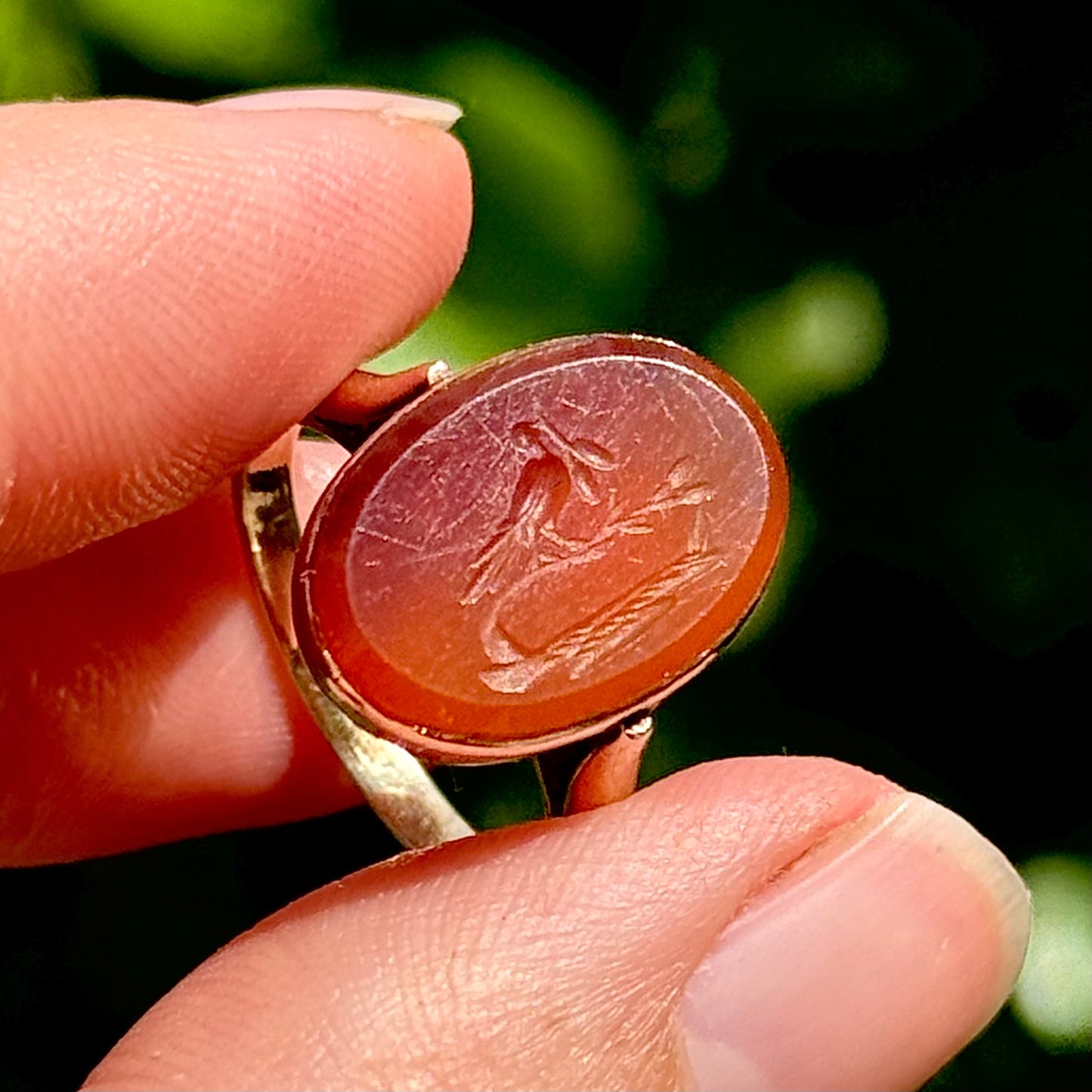 Antique Bird Intaglio Carnelian Ring; Circa 1860