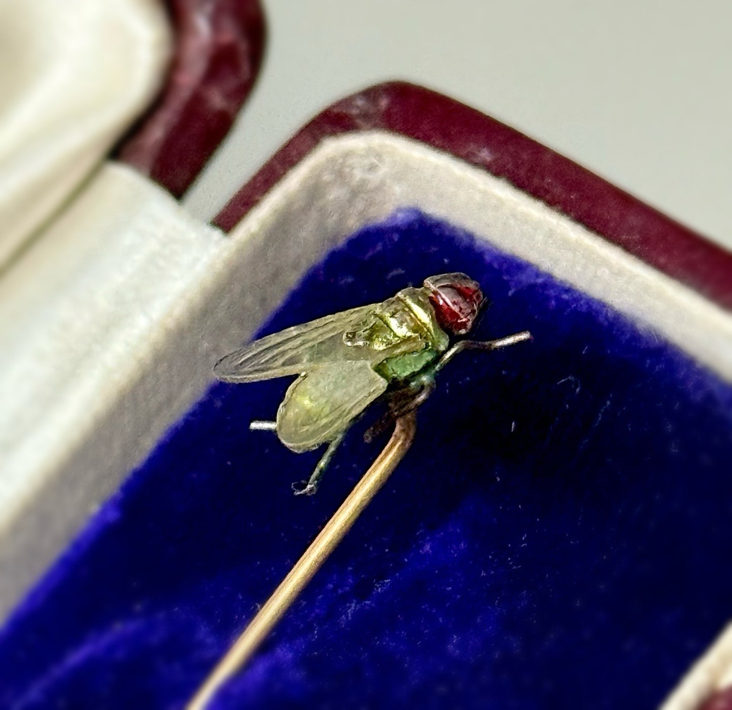 Realistic Antique Boxed Blue Bottle Fly Stick Pin; Circa 1895