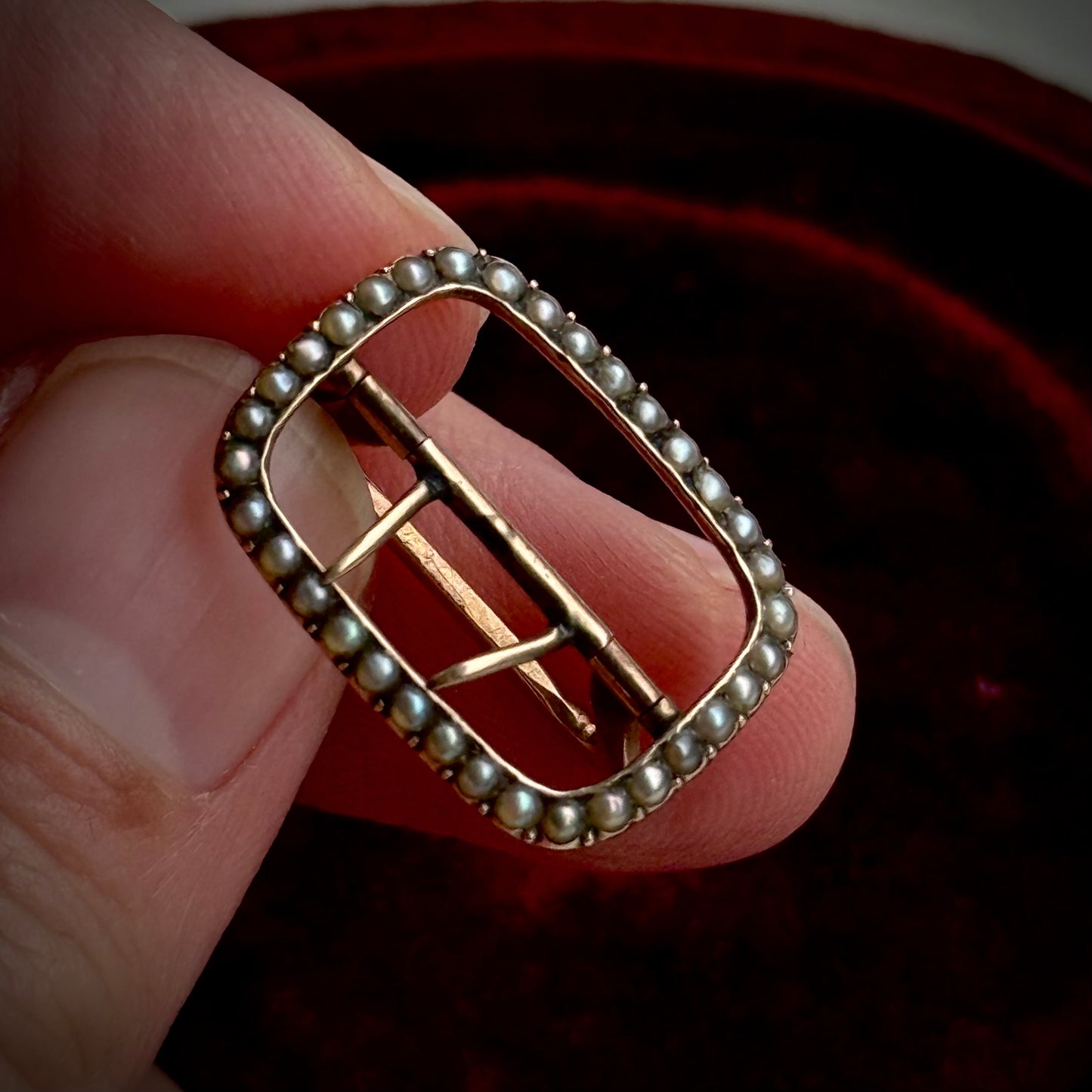 Early Victorian Pearl Buckle in 9 Carat Gold