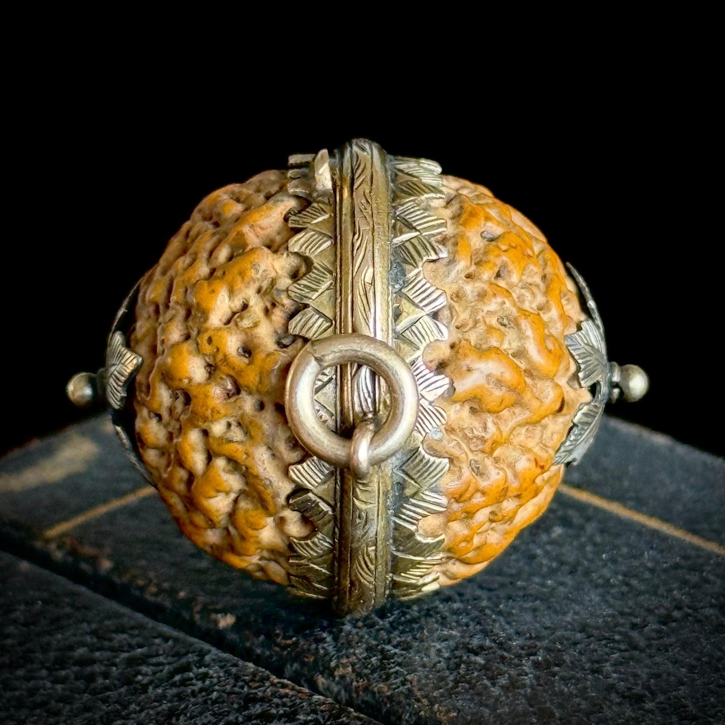 Antique Georgian Quandong Seed Locket; Circa 1800