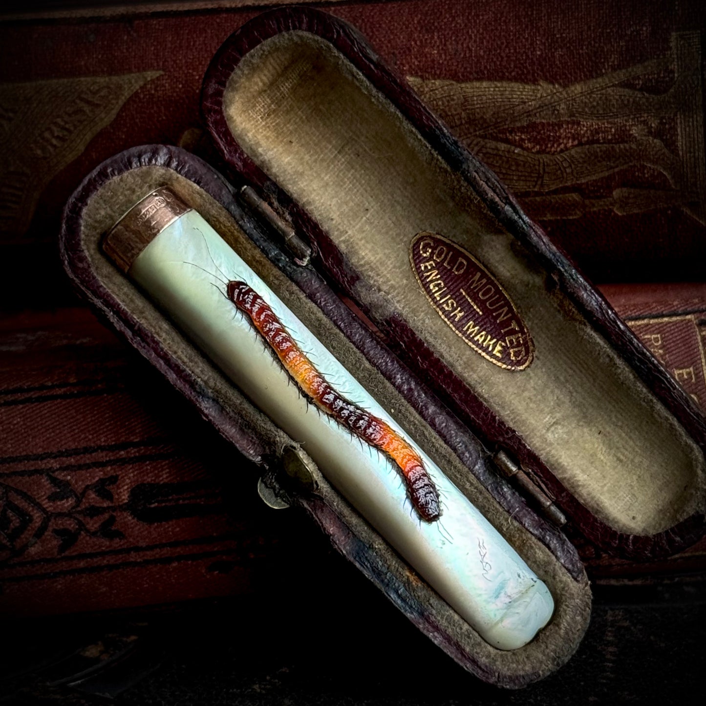 Antique Mother of Pearl Shibayama Cigarette Holder with Box