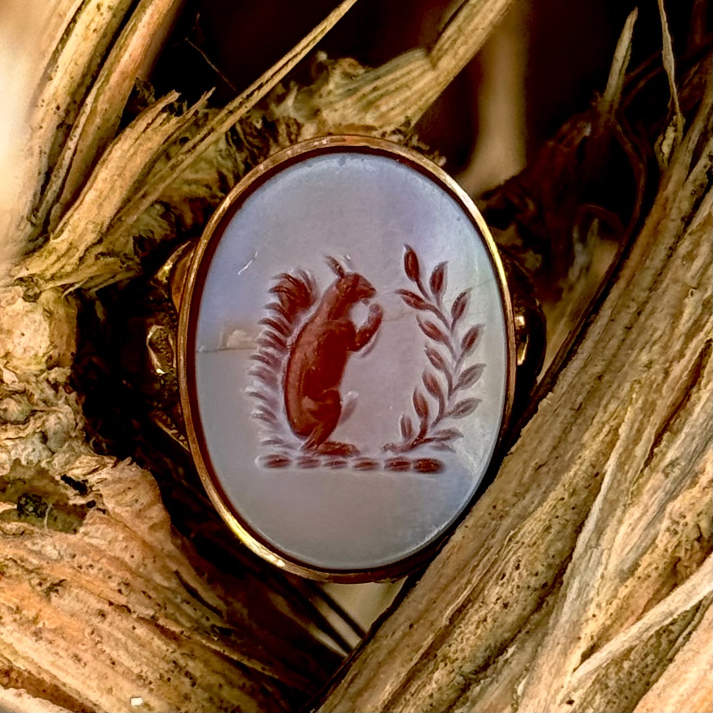 Antique Squirrel Intaglio Signet Ring in 9 Carat Gold