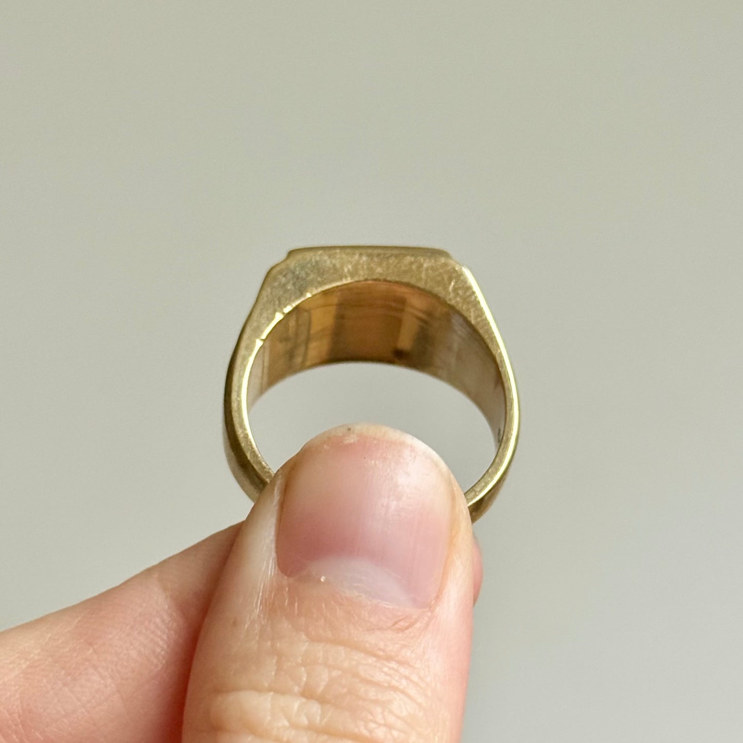 Shibayama Insect Inlay Ring