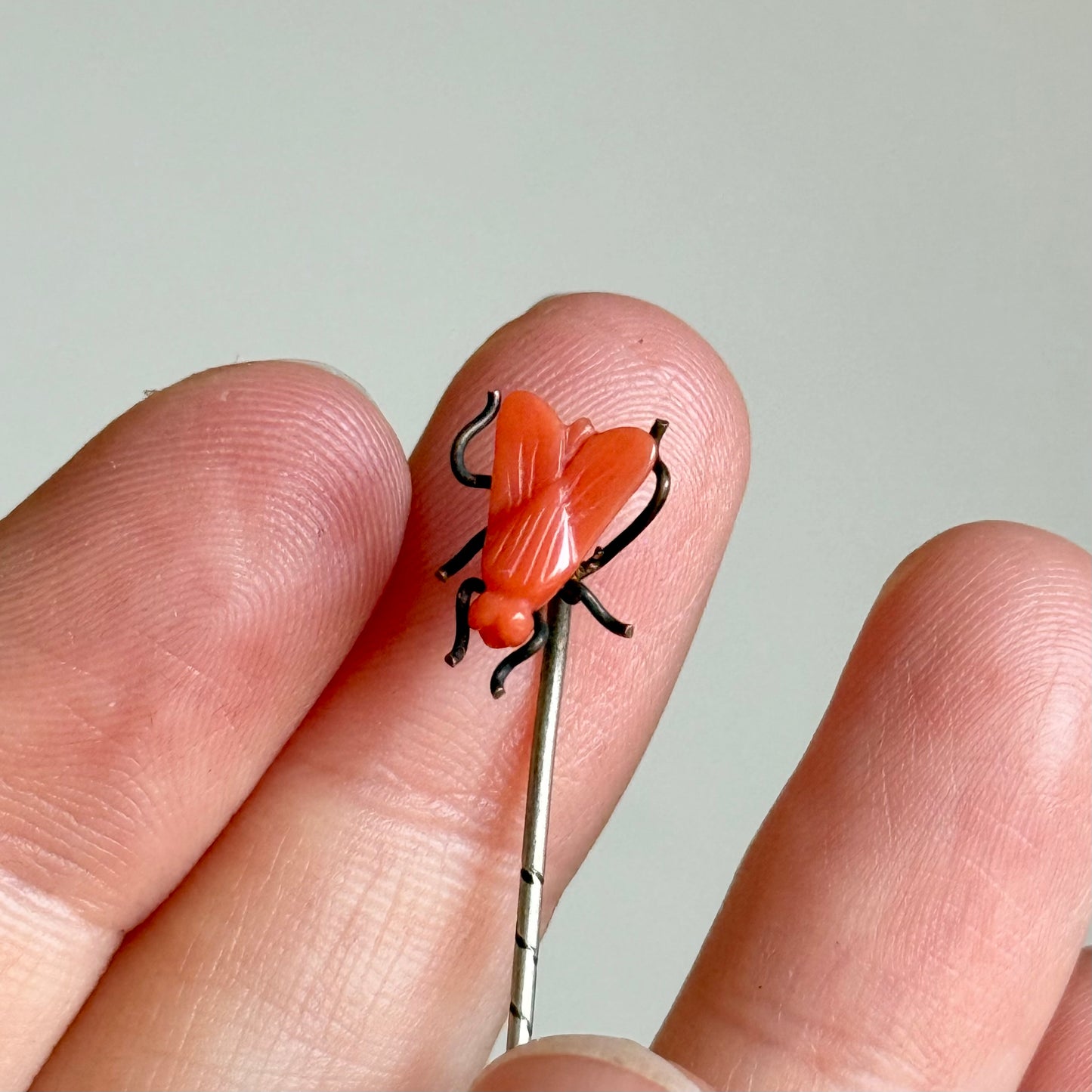 Antique Coral Boxed House Fly Stick Pin; Circa 1895