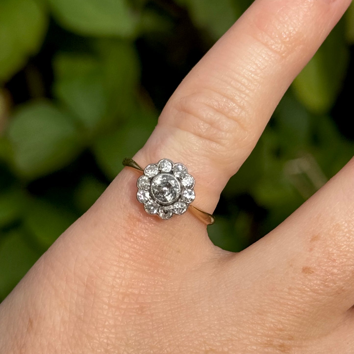Edwardian Diamond Daisy Cluster Ring in 18 Carat Gold; Circa 1900