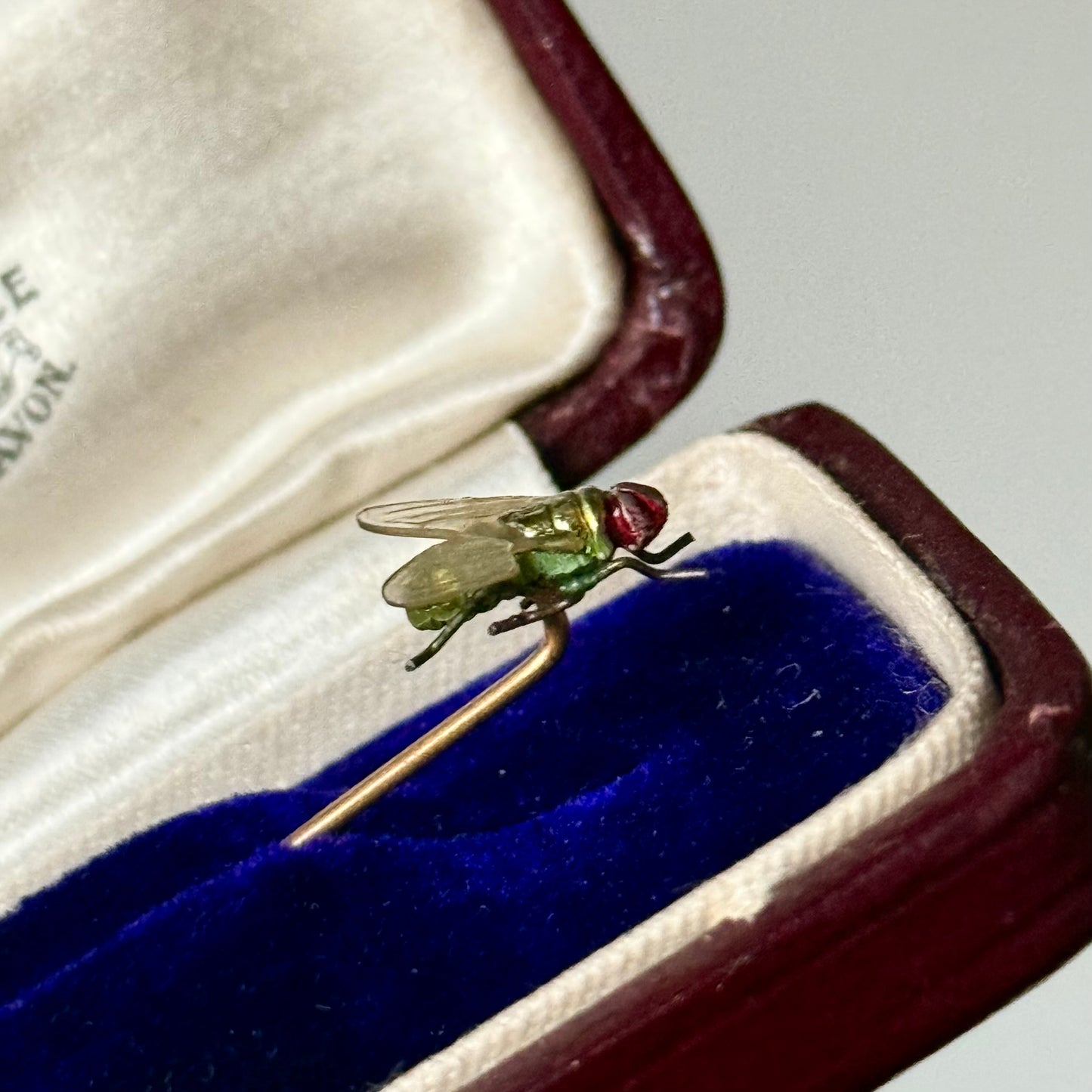 Realistic Antique Boxed Blue Bottle Fly Stick Pin; Circa 1895
