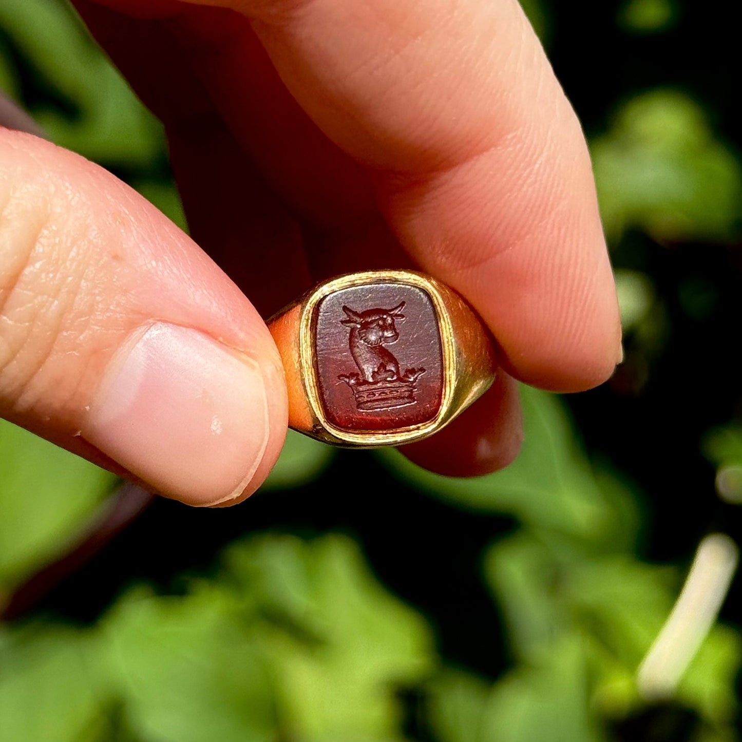 Antique Carnelian Signet Ring in 18 Carat Gold, Circa 1880