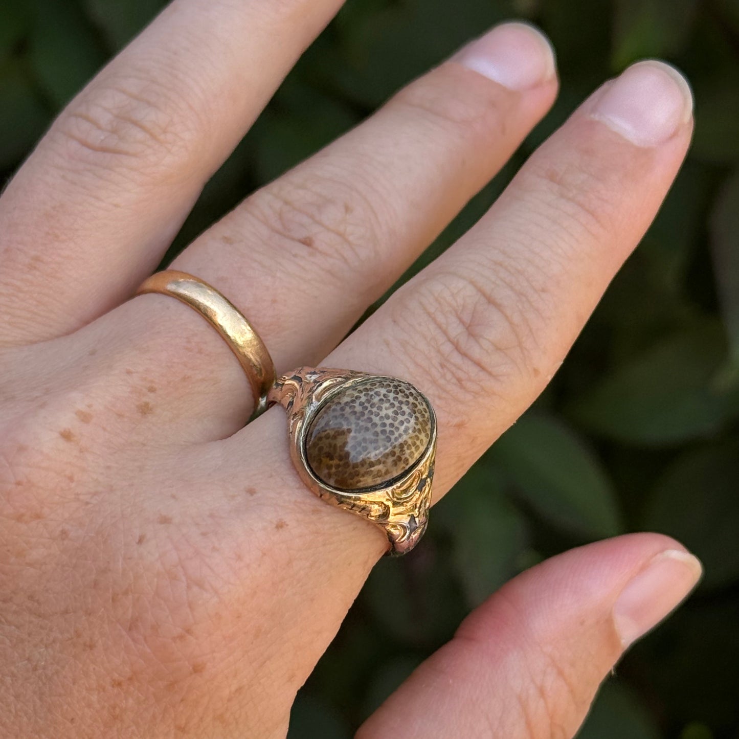 Antique Victorian Jasper Signet Ring; Circa 1890