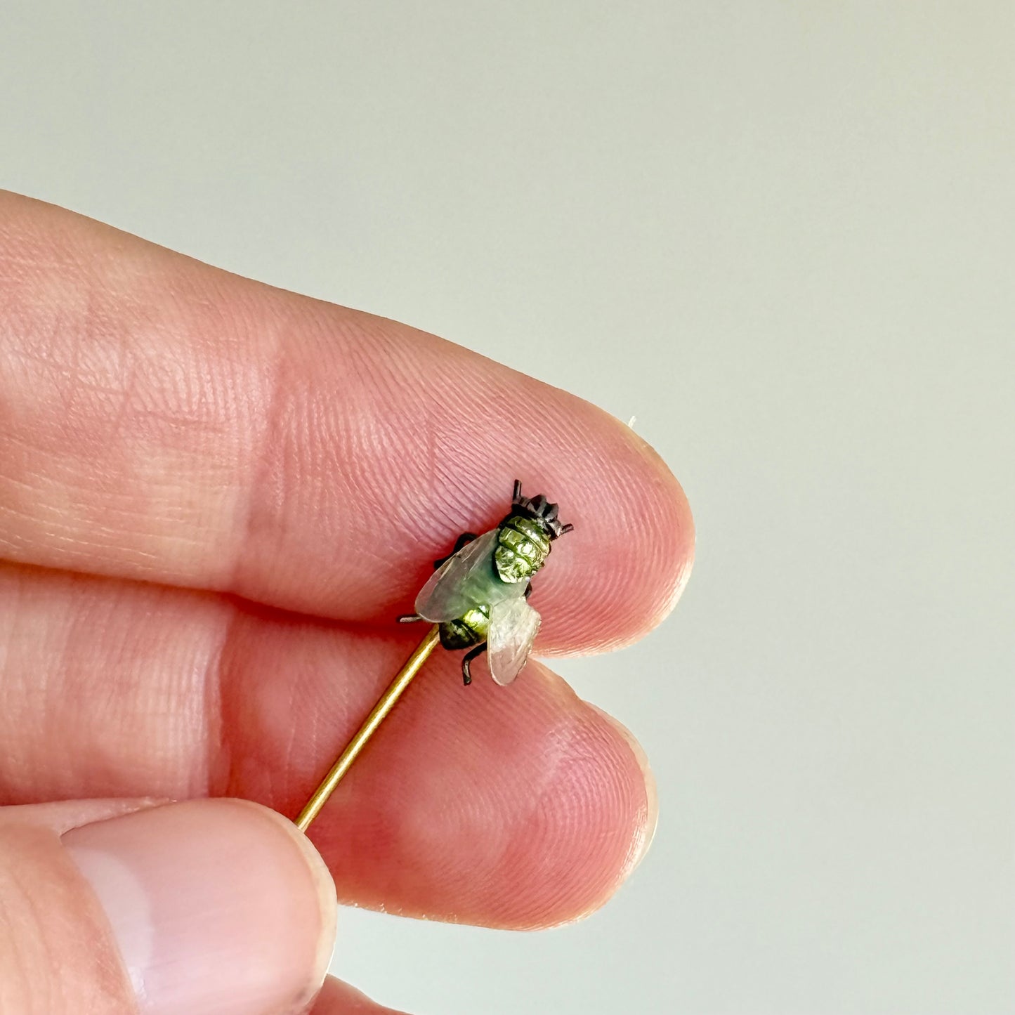 Realistic Antique Boxed Blue Bottle Fly Stick Pin; Circa 1895