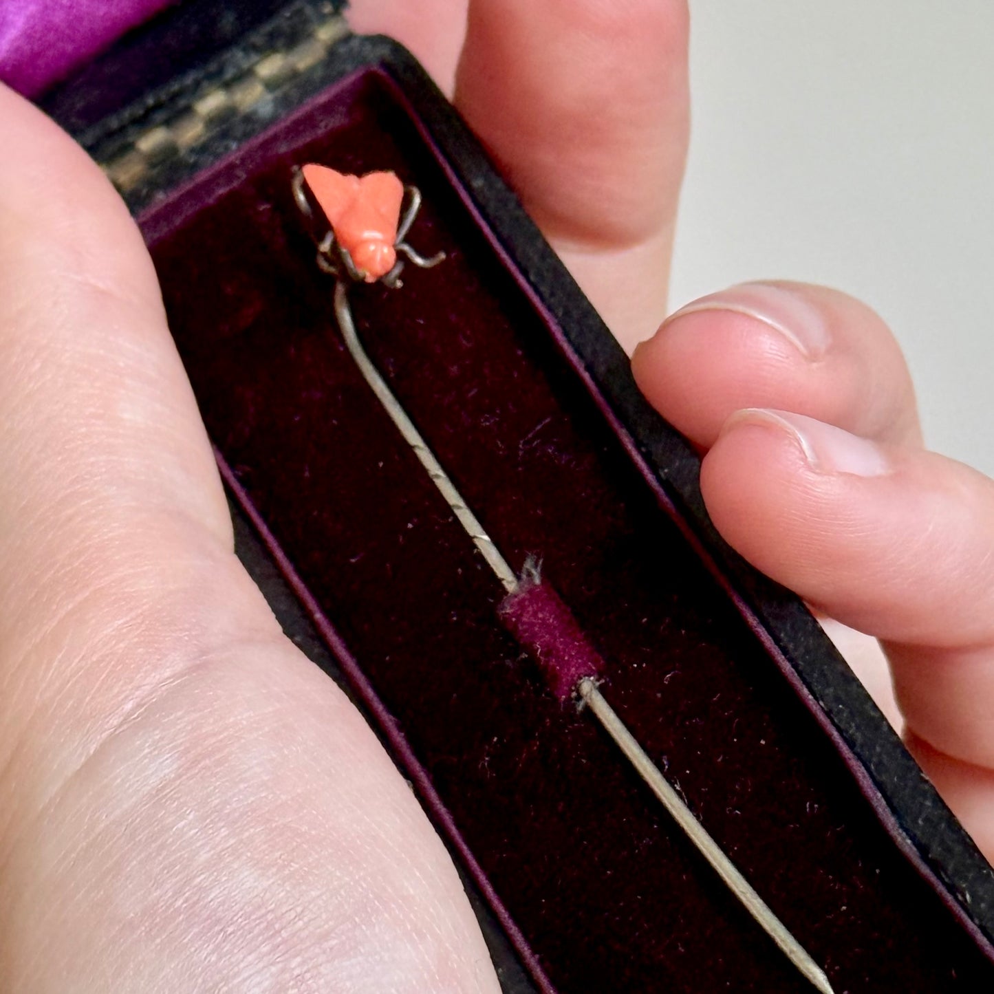 Antique Coral Boxed House Fly Stick Pin; Circa 1895