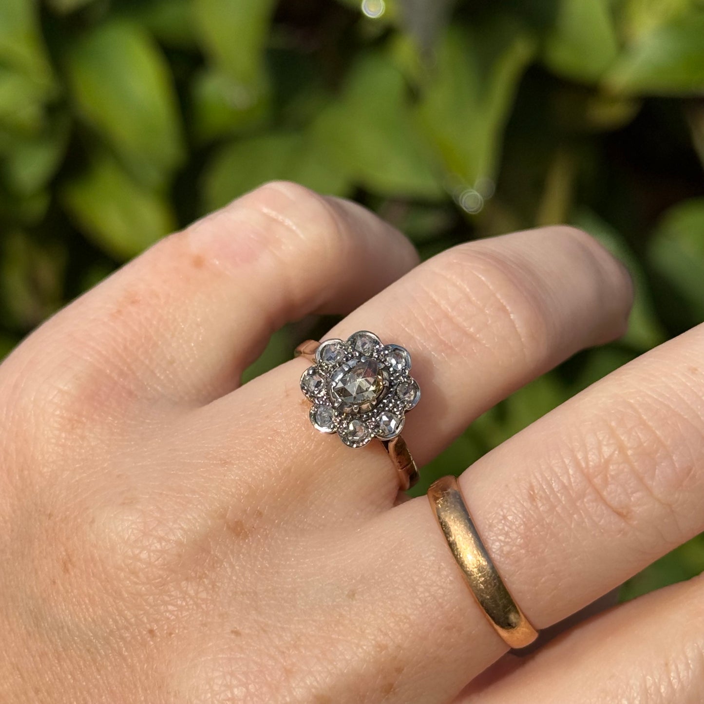 Antique Rose Cut Cluster Ring in 14 Carat Gold; Circa 1880